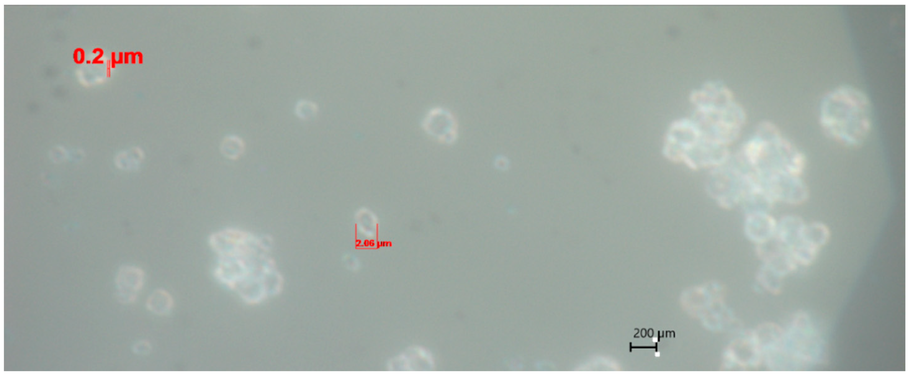 Polymers 16 02950 g002