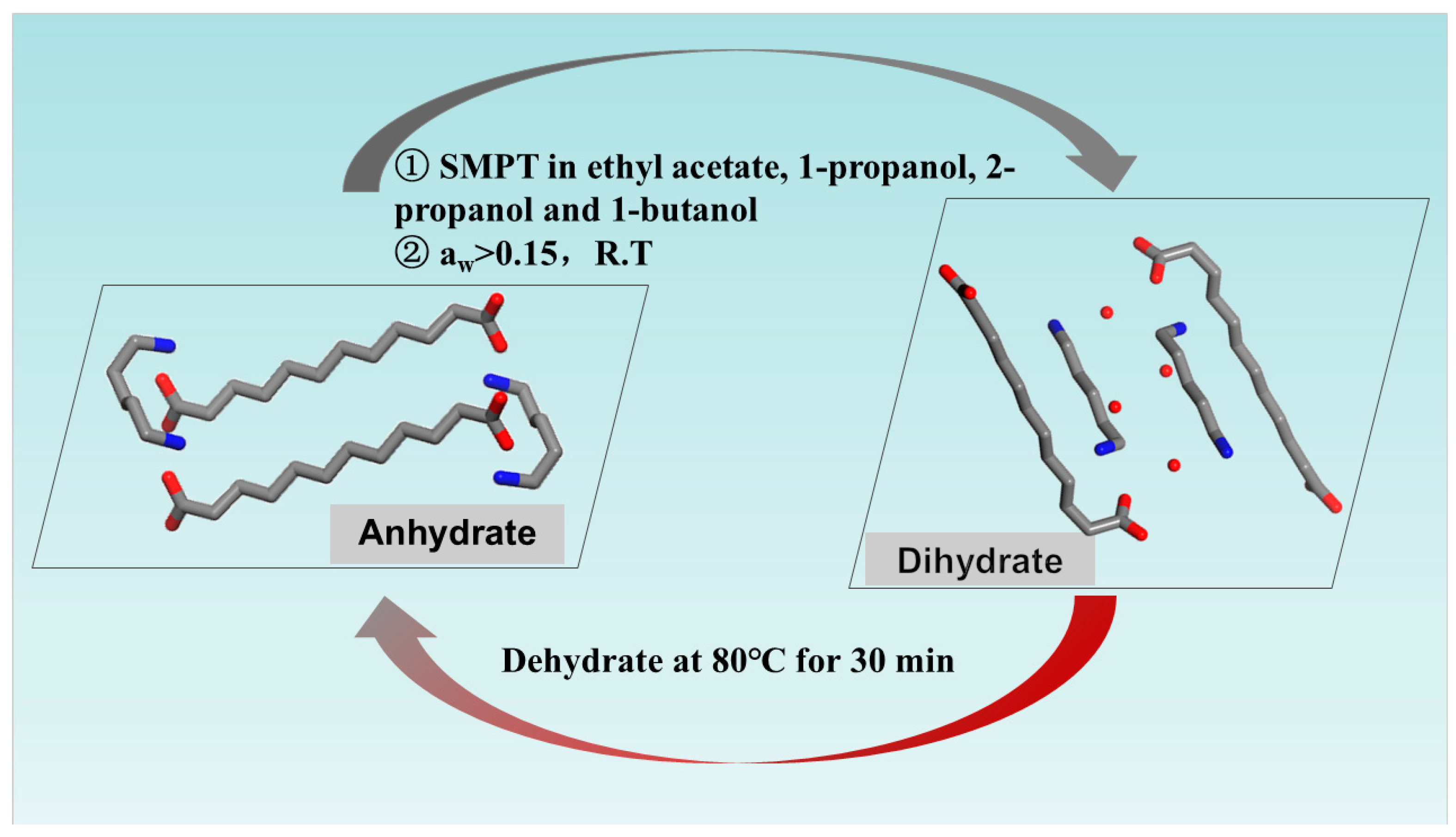 Polymers 16 02953 g007
