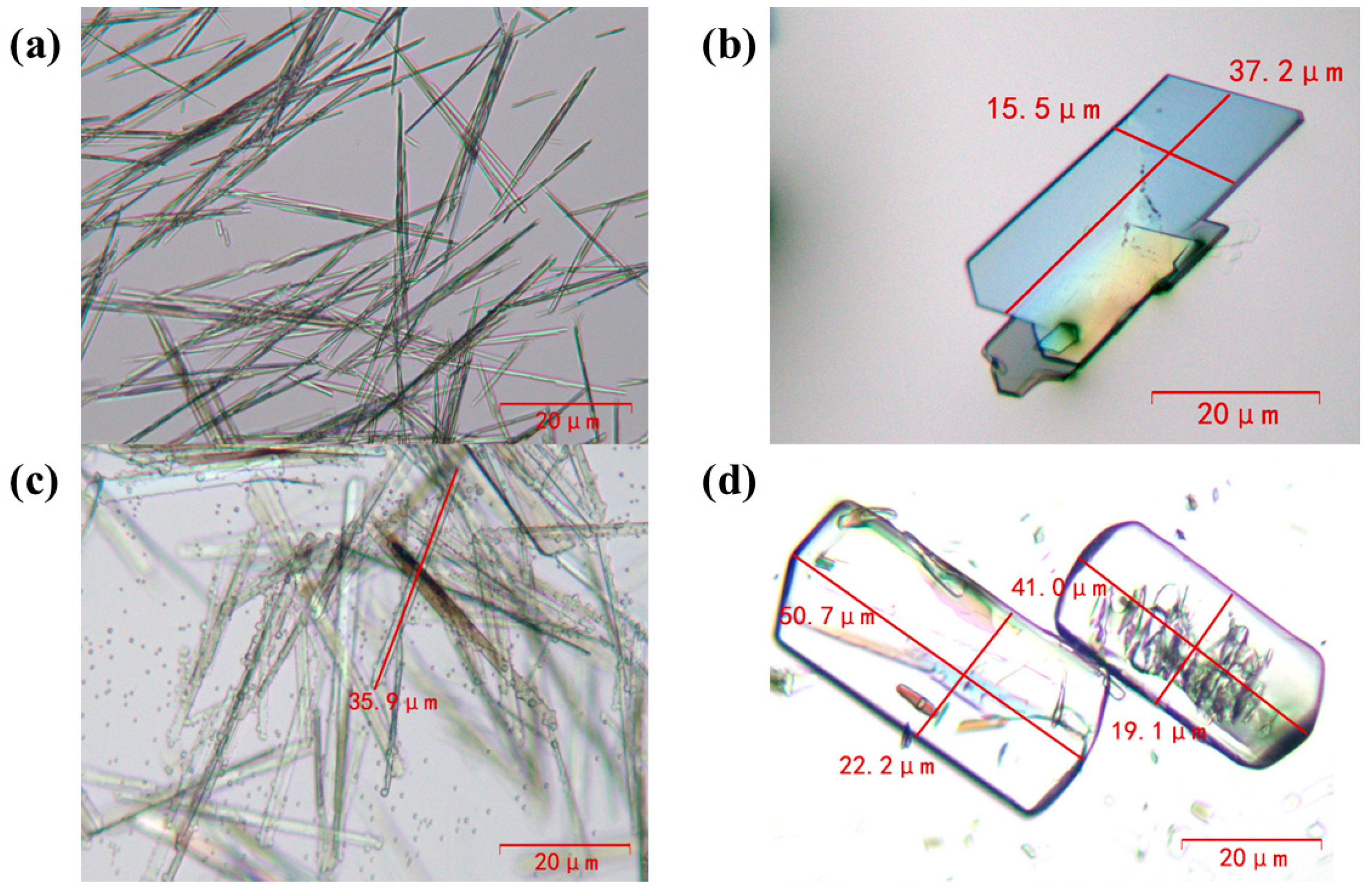 Polymers 16 02953 g008
