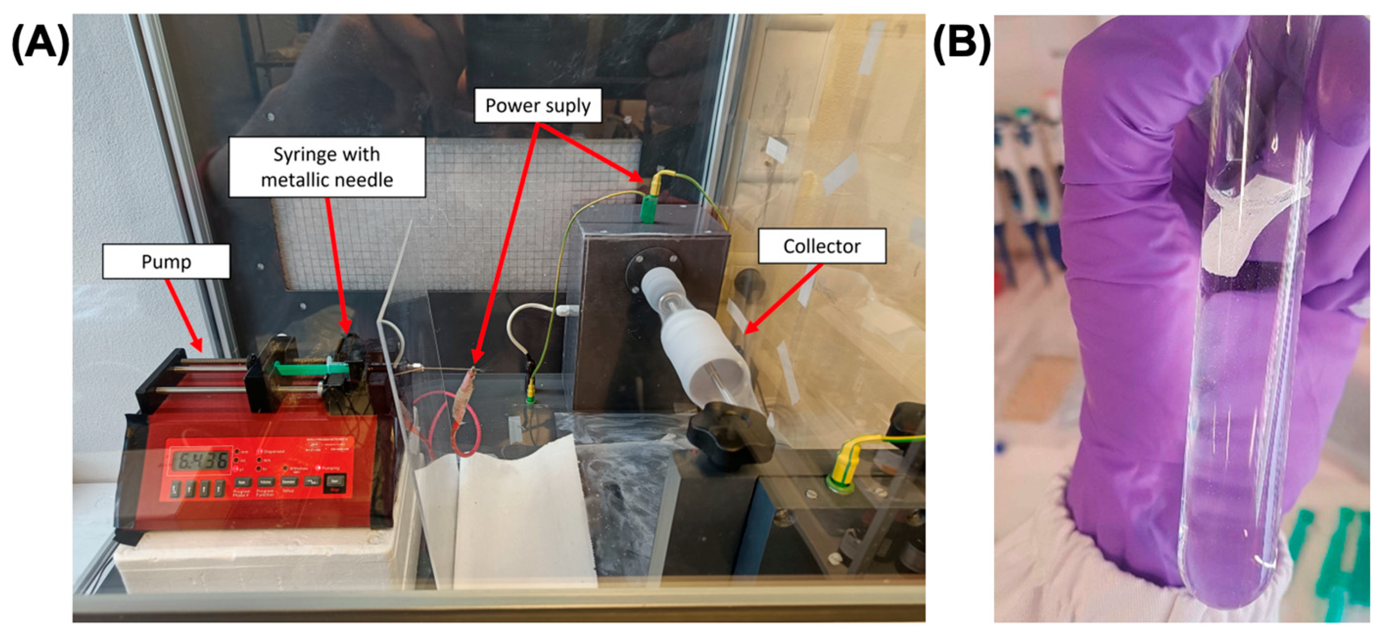 Polymers 16 02960 g001
