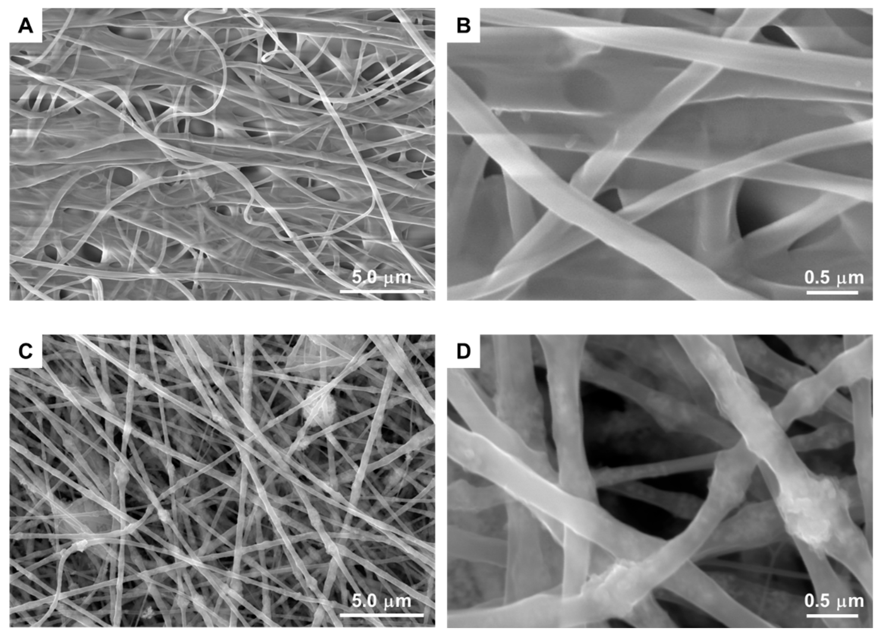 Polymers 16 02960 g002