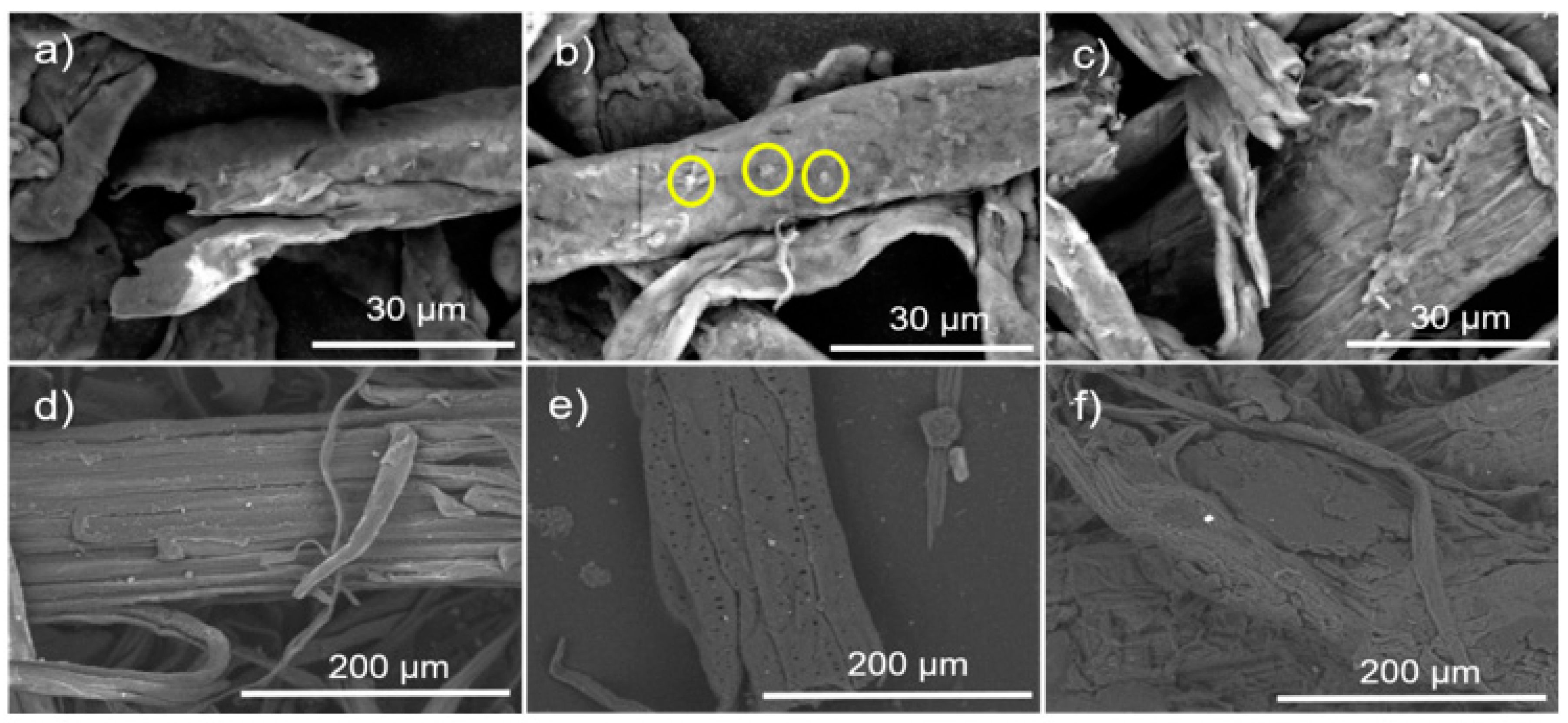 Polymers 16 02964 g004