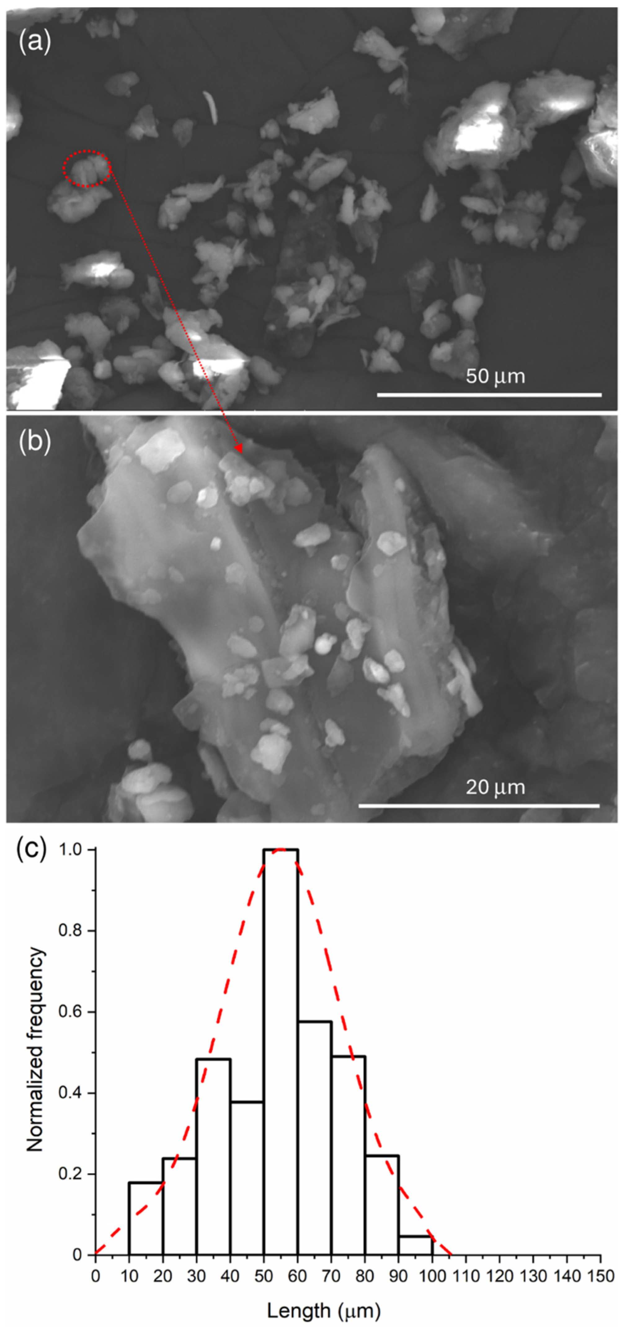 Polymers 16 02966 g001