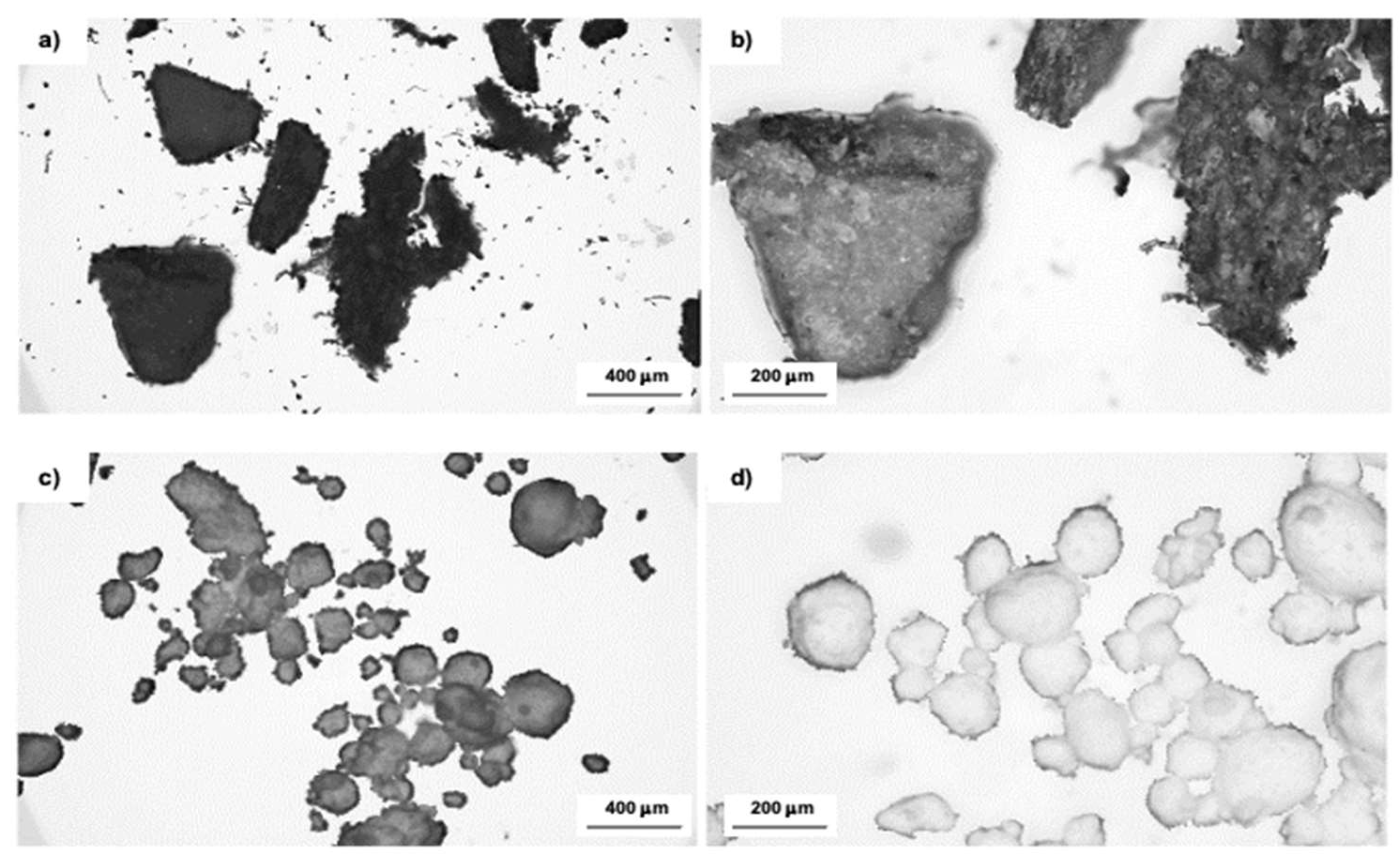 Polymers 16 02968 g001