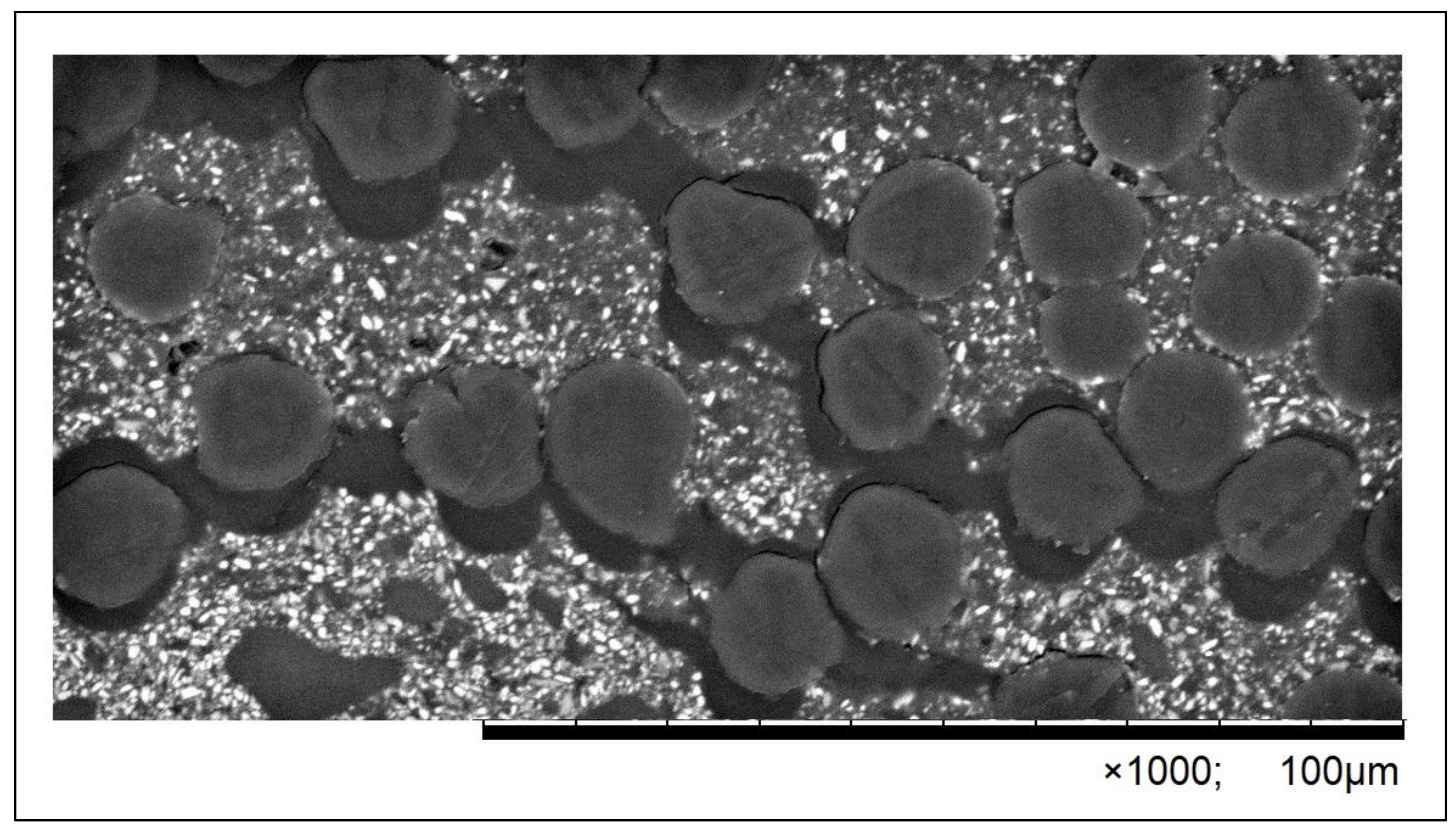 Polymers 16 02970 g003