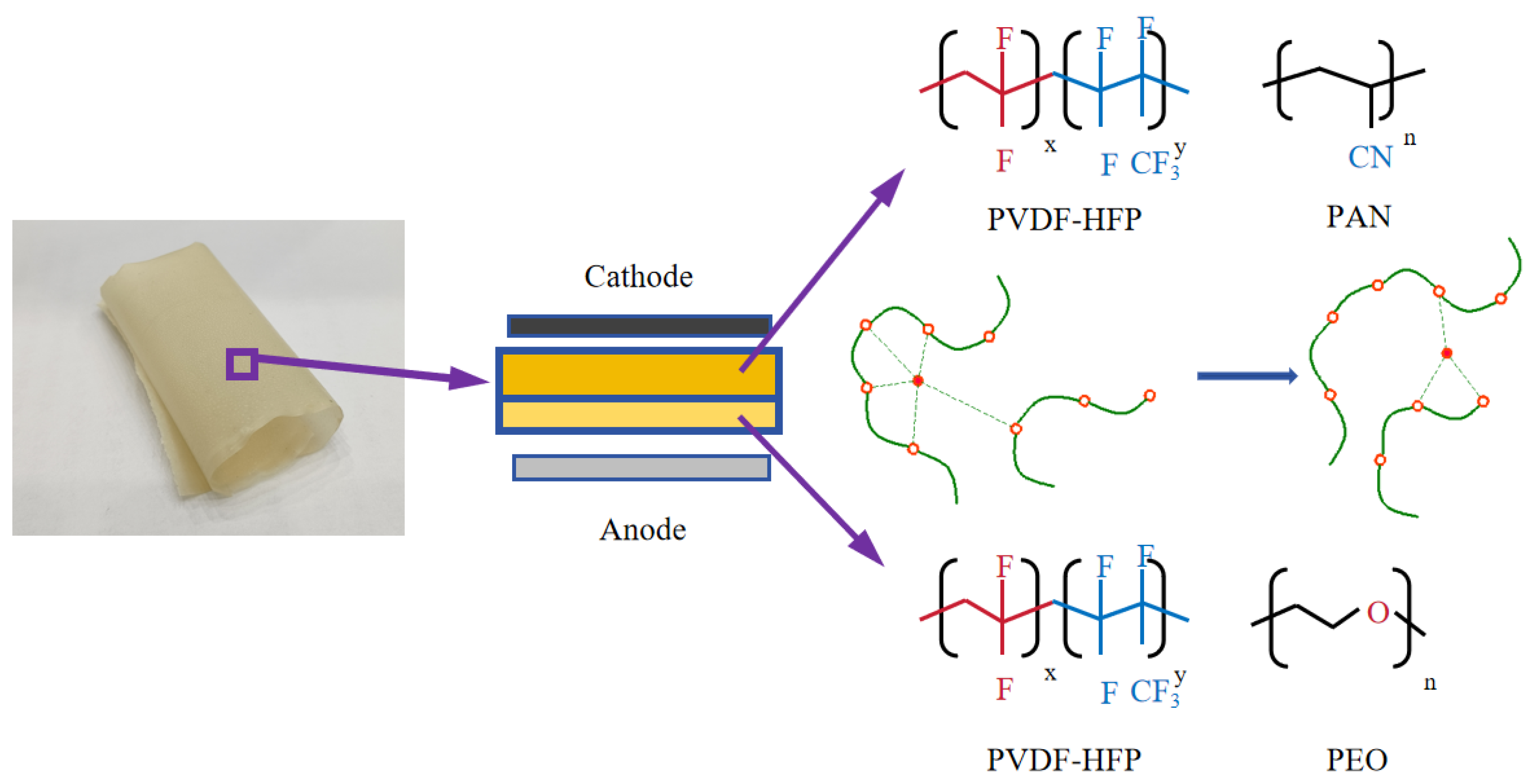 Polymers 16 02972 g001