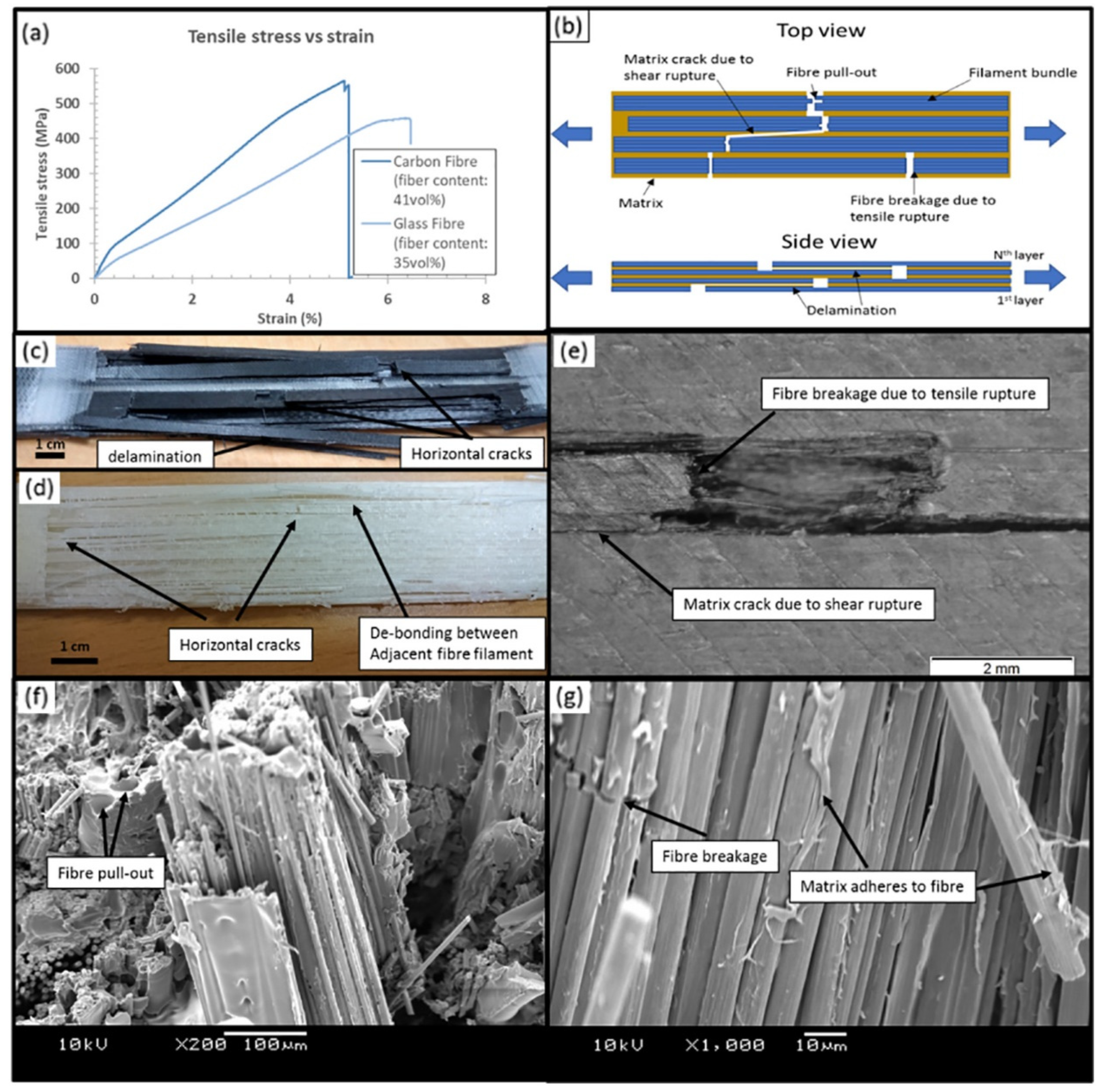 Polymers 16 02986 g008