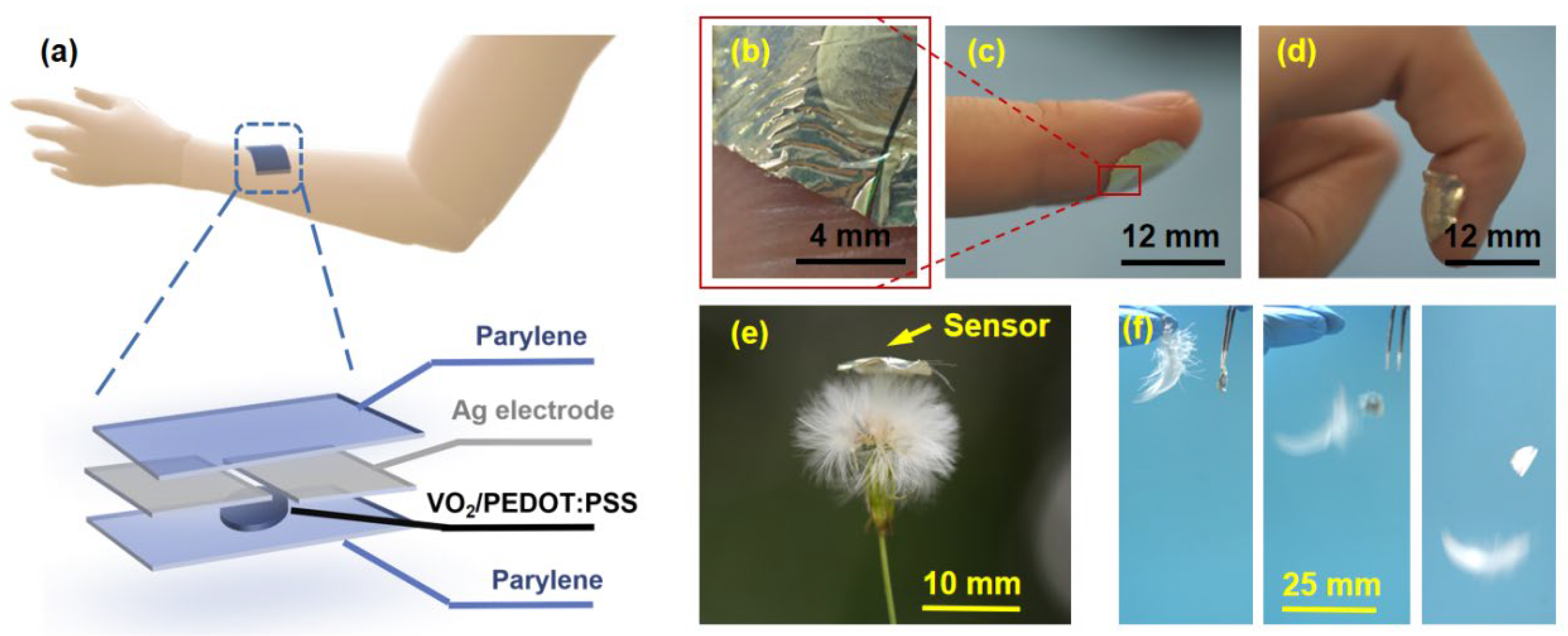 Polymers 16 02987 g001
