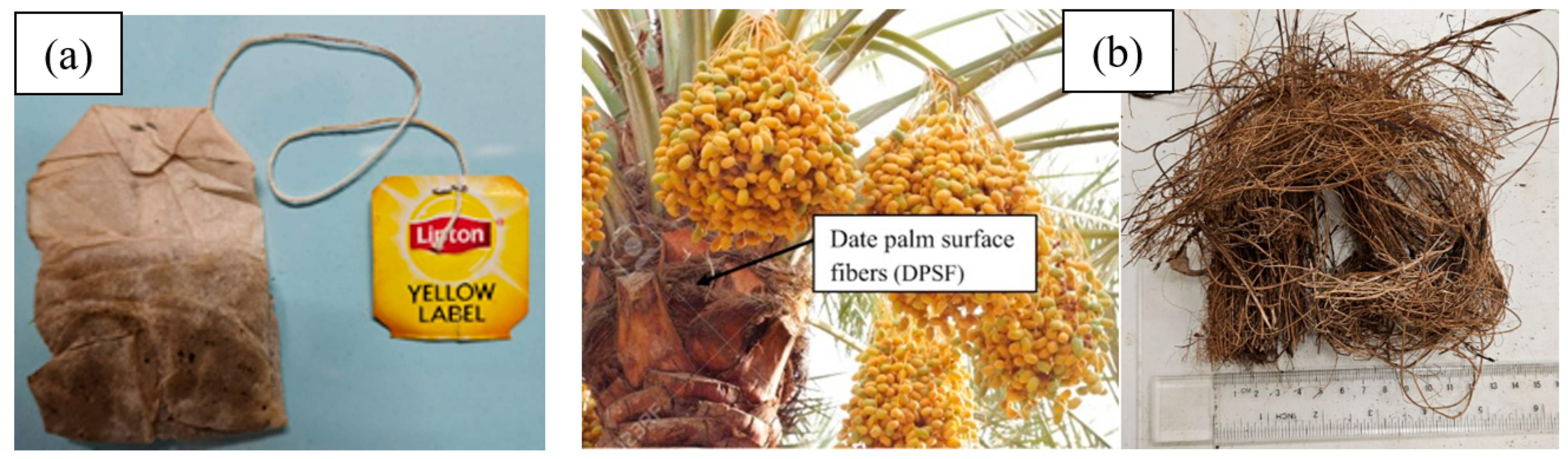 Polymers 16 02989 g001