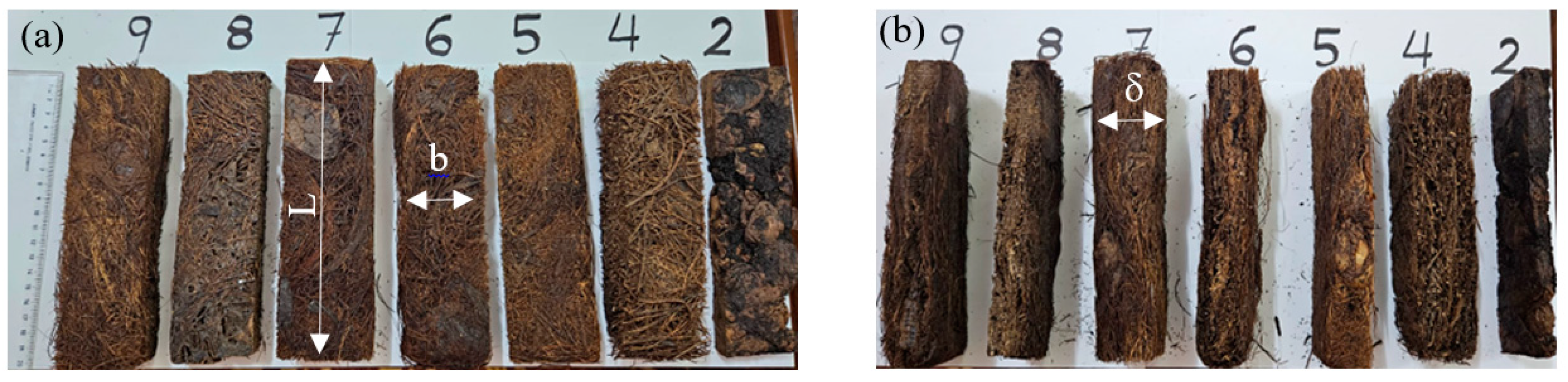 Polymers 16 02989 g006