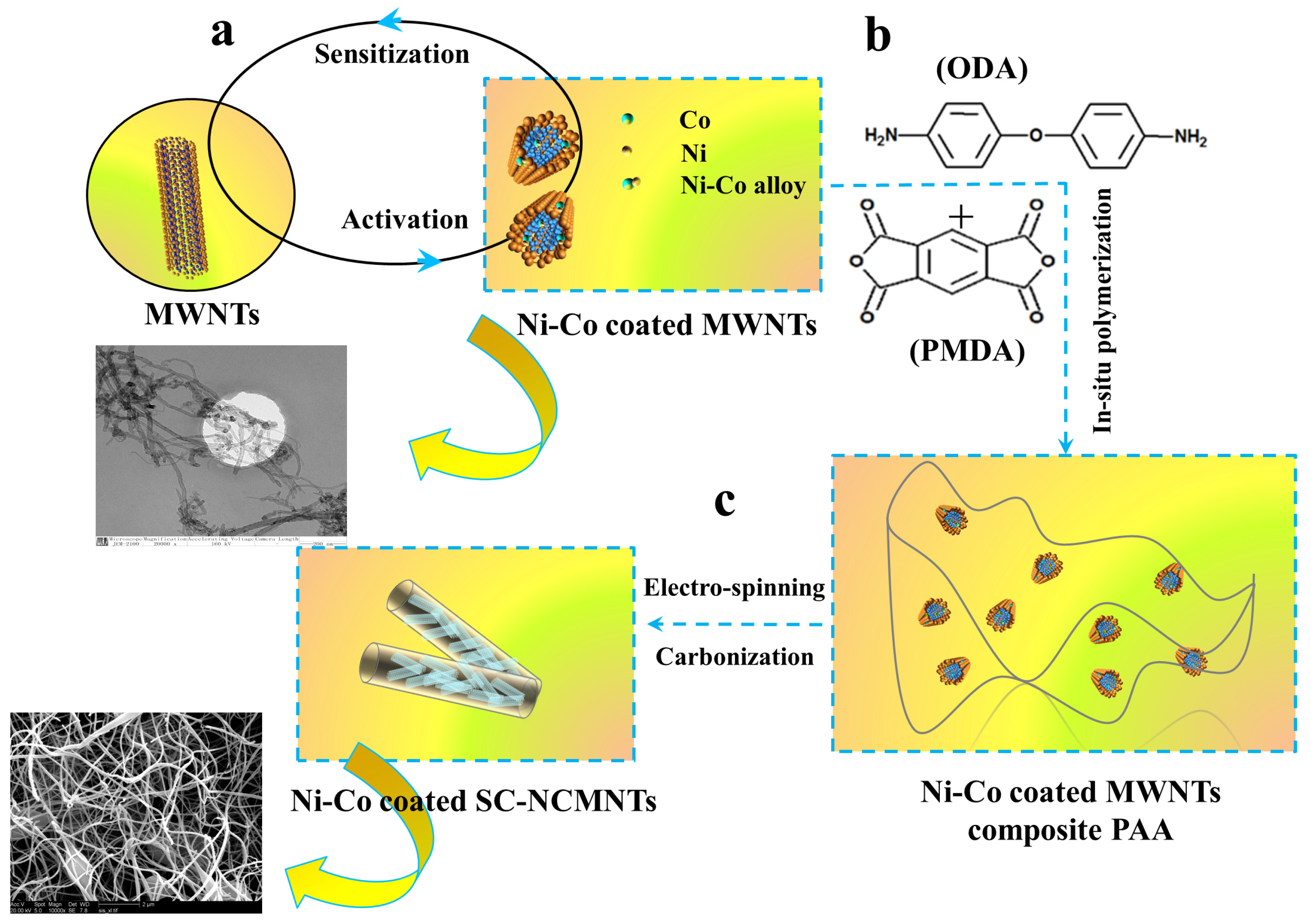Polymers 16 02993 g001