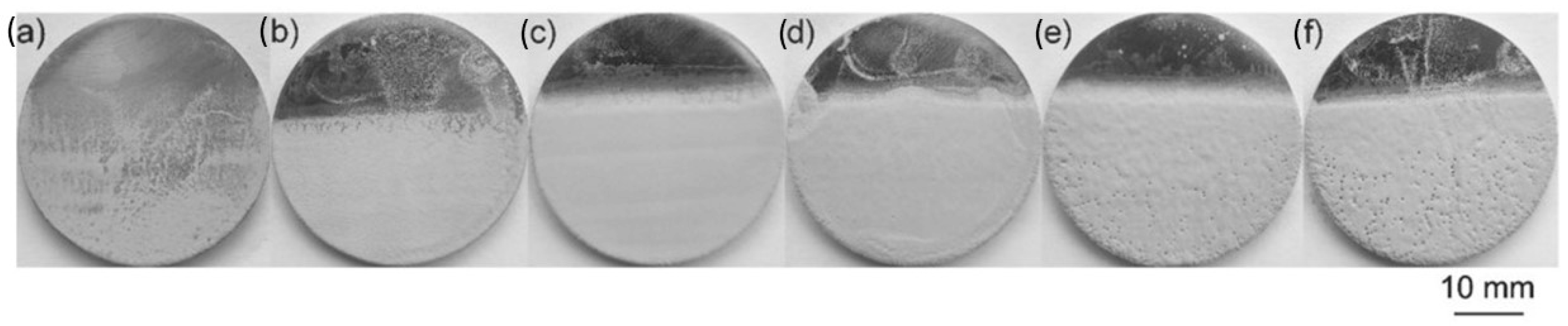 Polymers 16 02994 g005