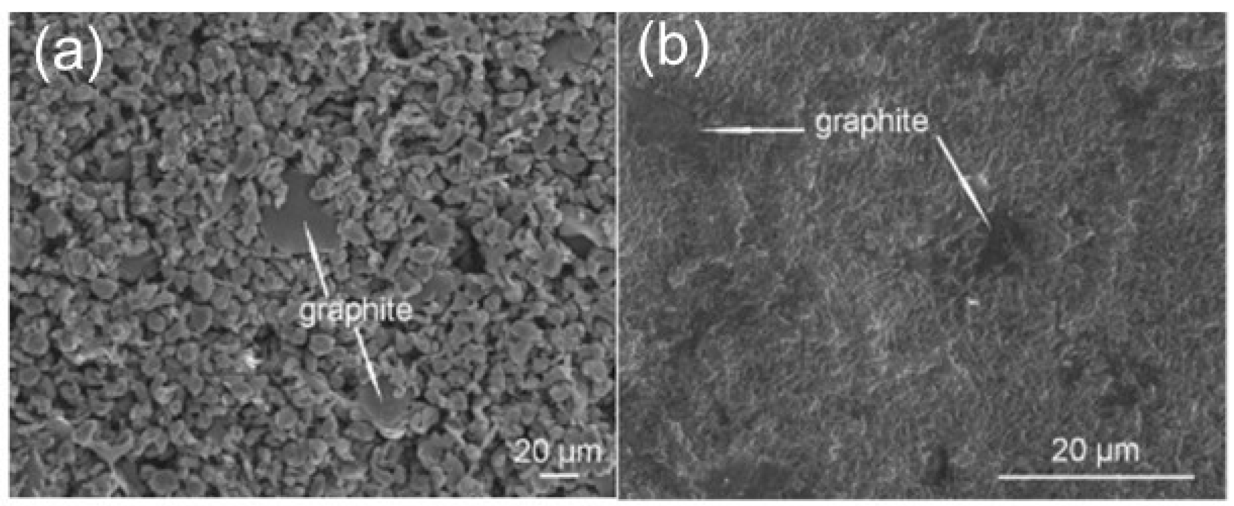 Polymers 16 02994 g006