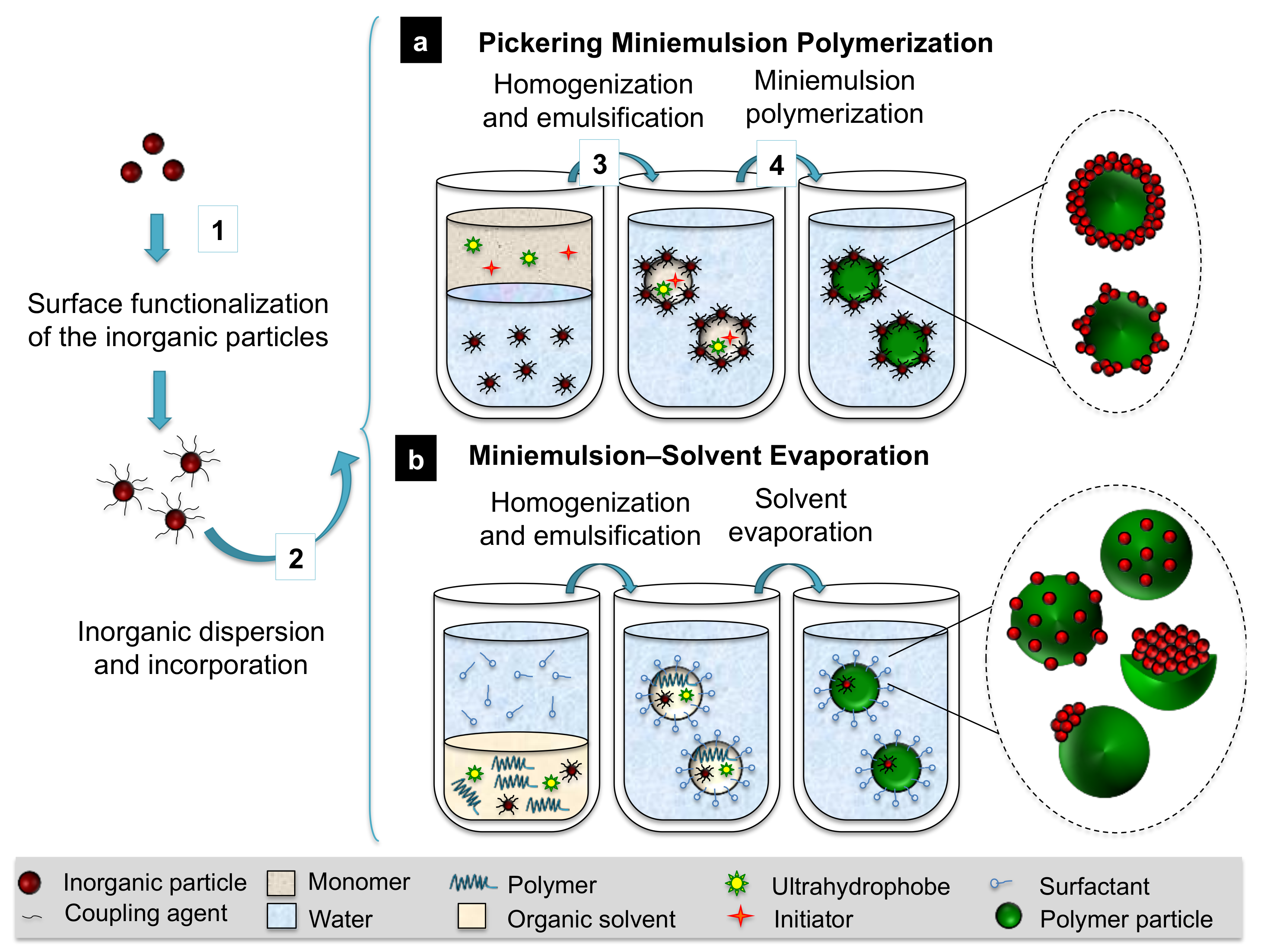 Polymers 16 02997 g003