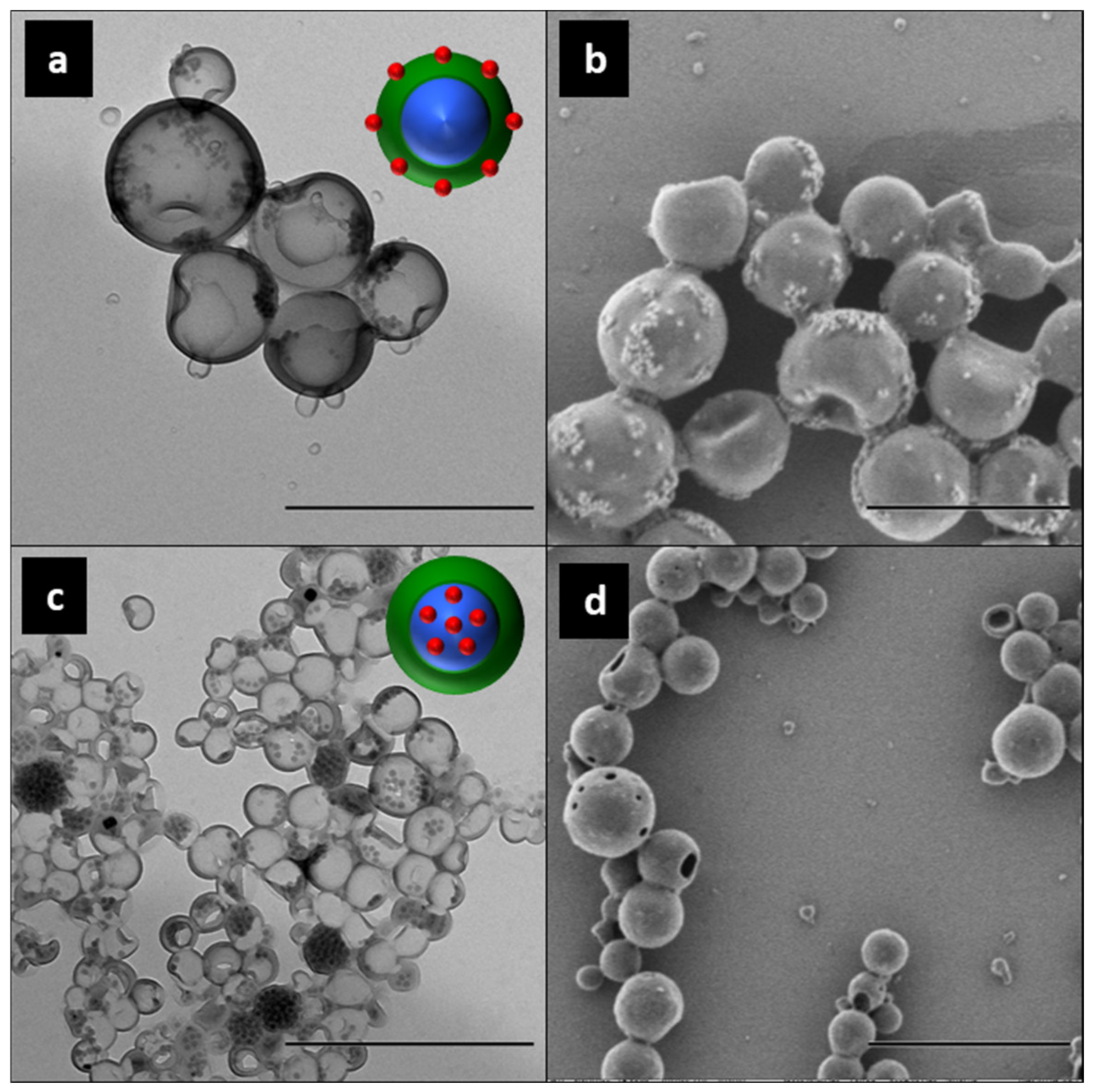 Polymers 16 02997 g011