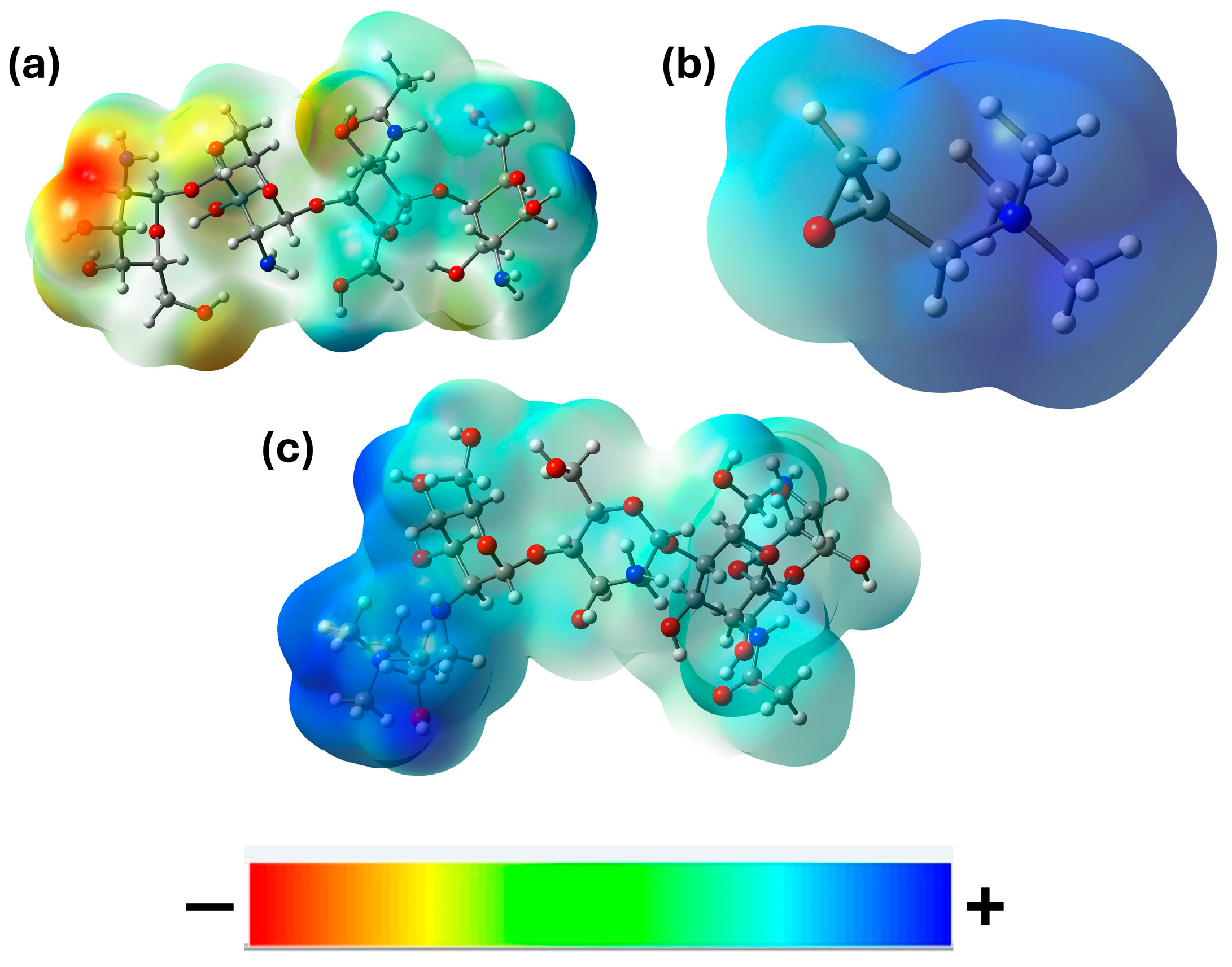 Polymers 16 02999 g002