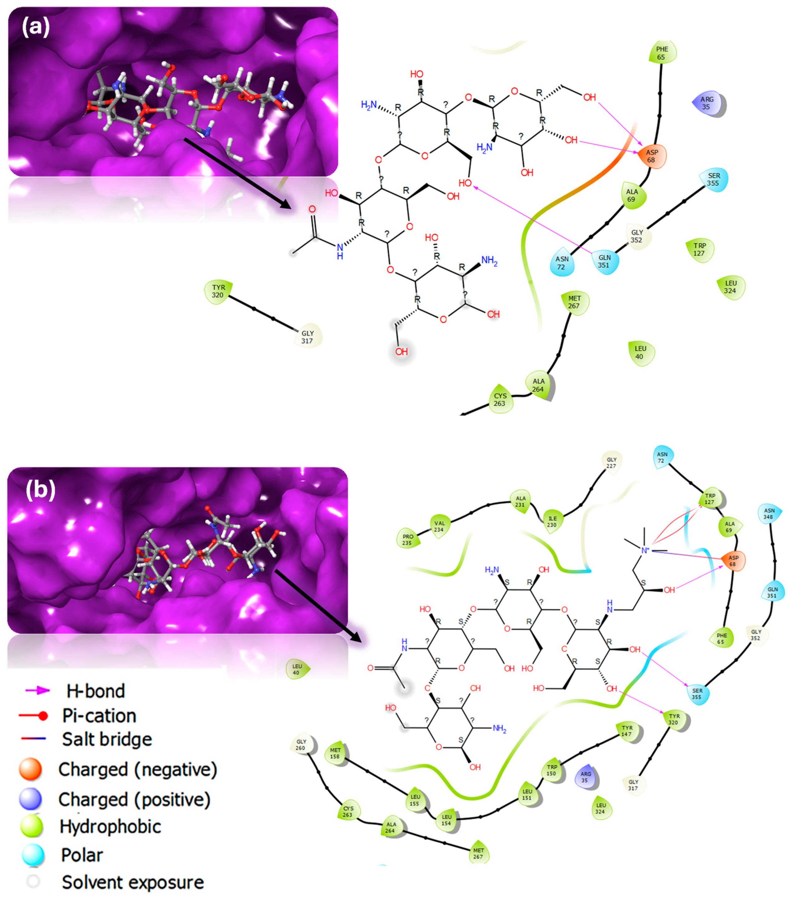 Polymers 16 02999 g003