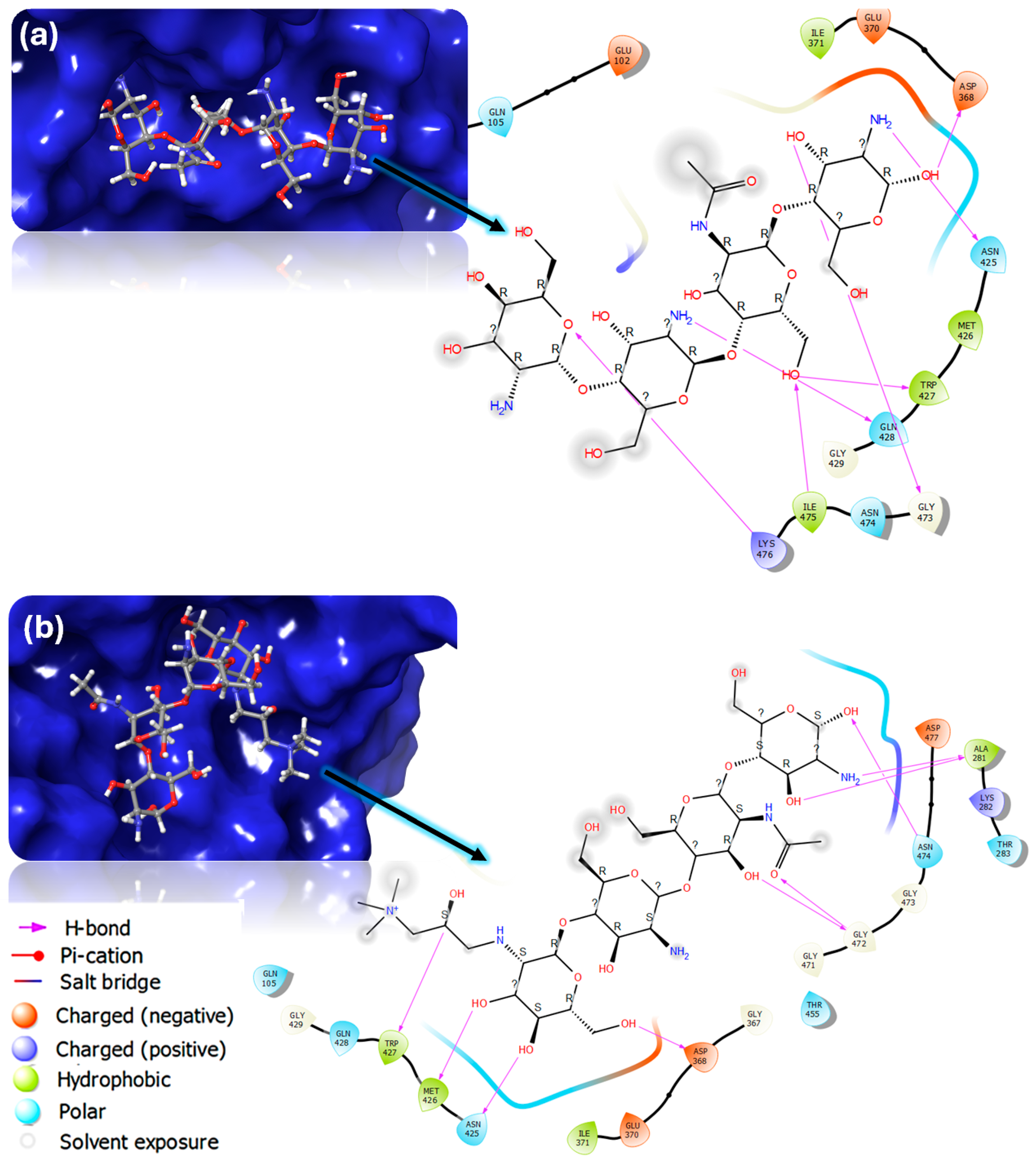 Polymers 16 02999 g004