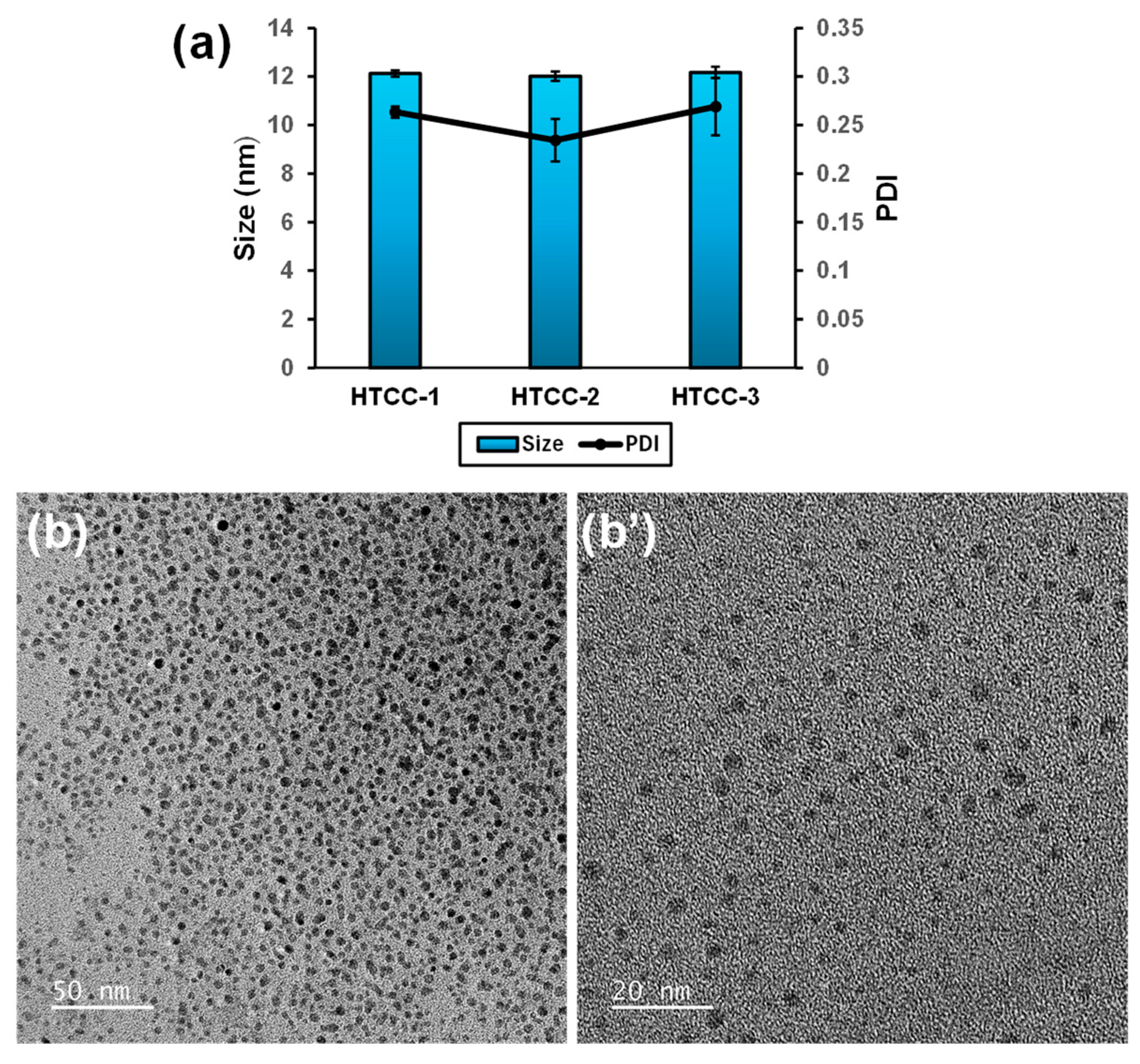 Polymers 16 02999 g009