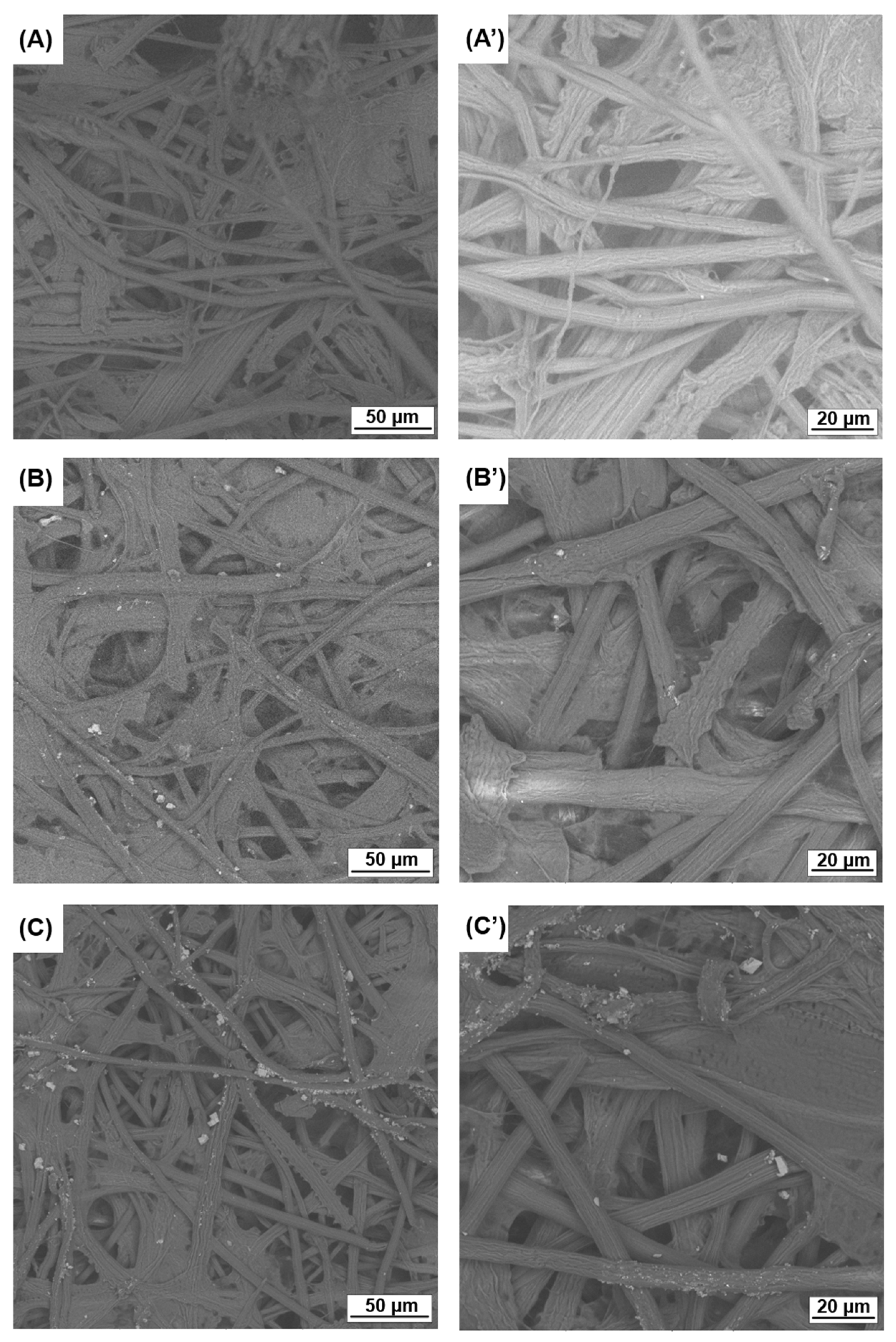 Polymers 16 03001 g007