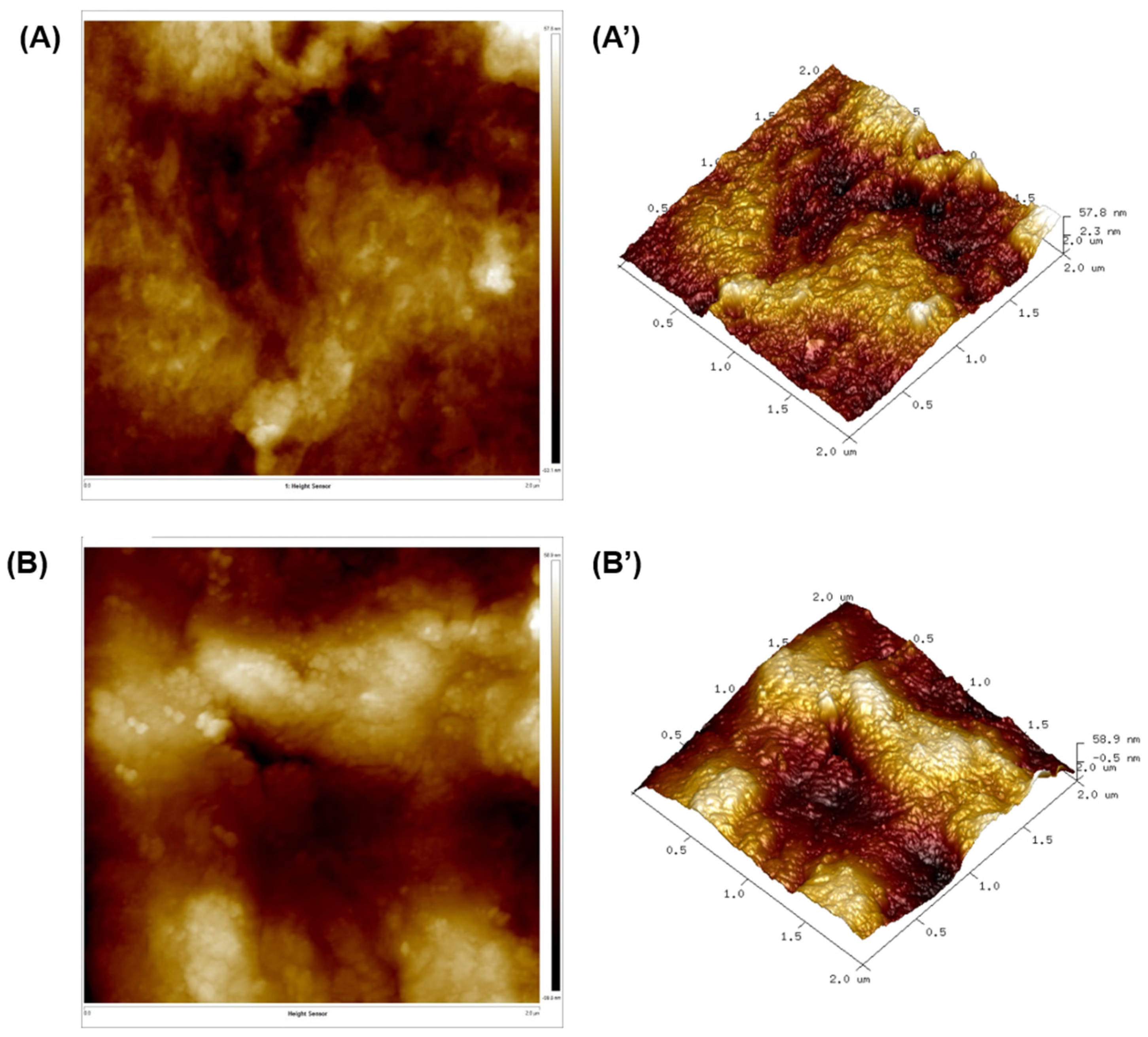 Polymers 16 03001 g009