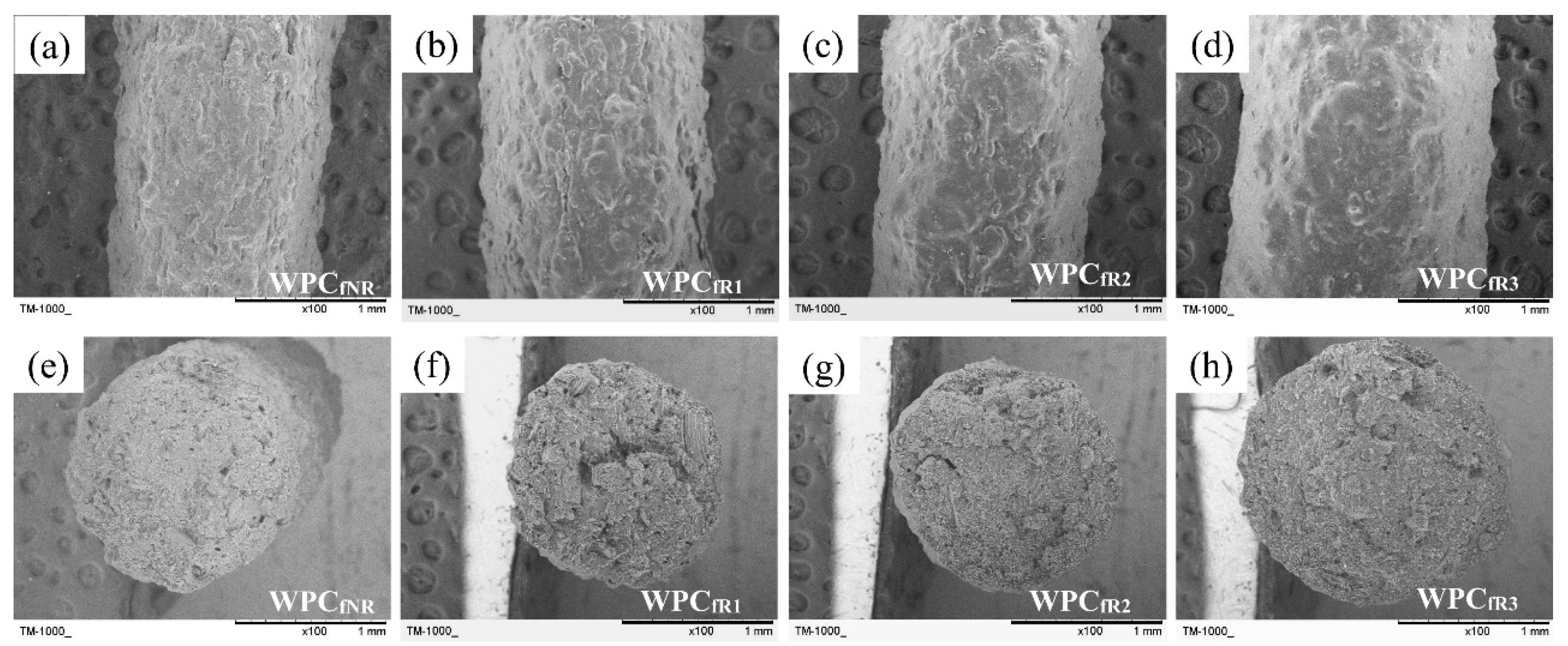 Polymers 16 03002 g004