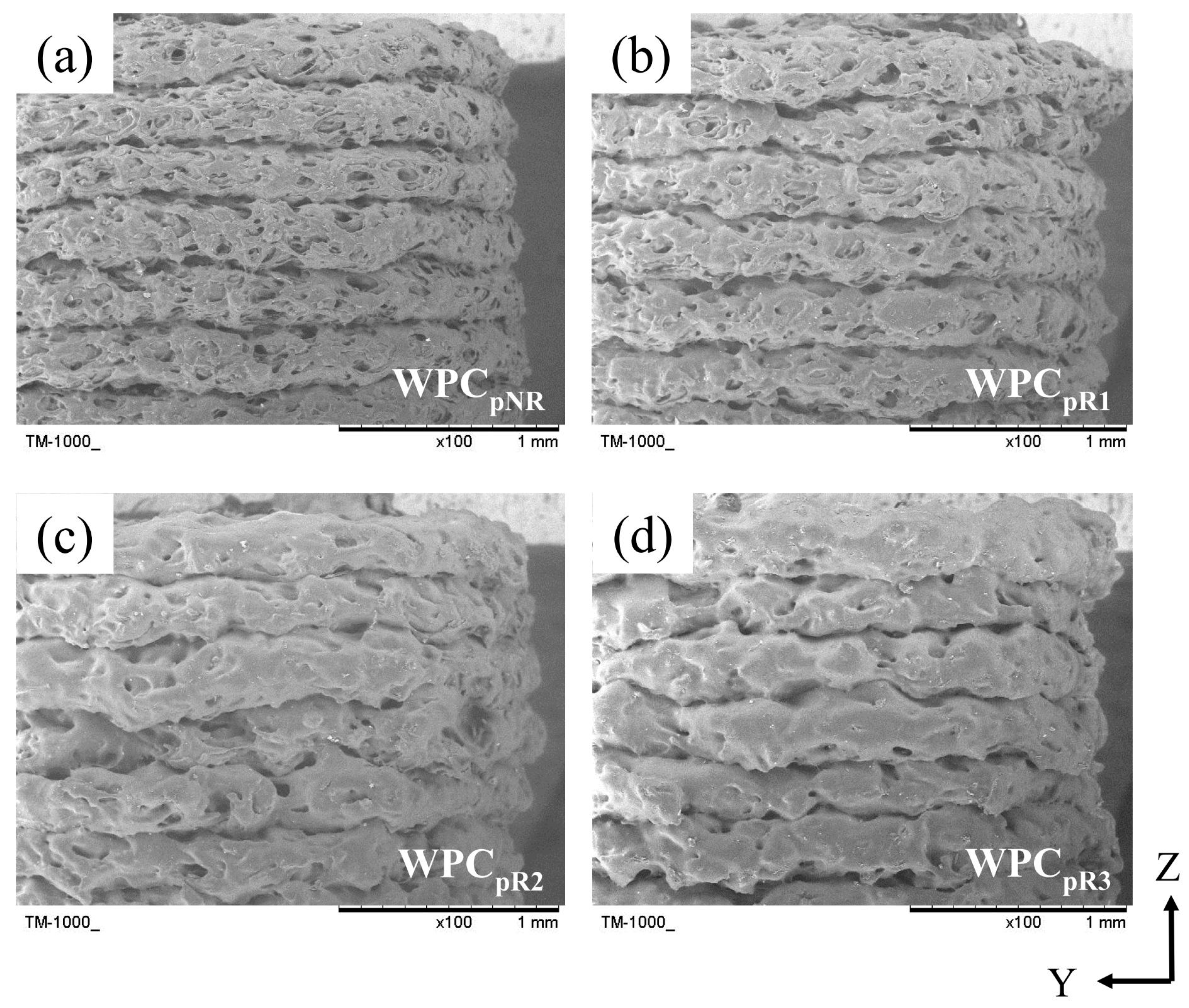Polymers 16 03002 g007