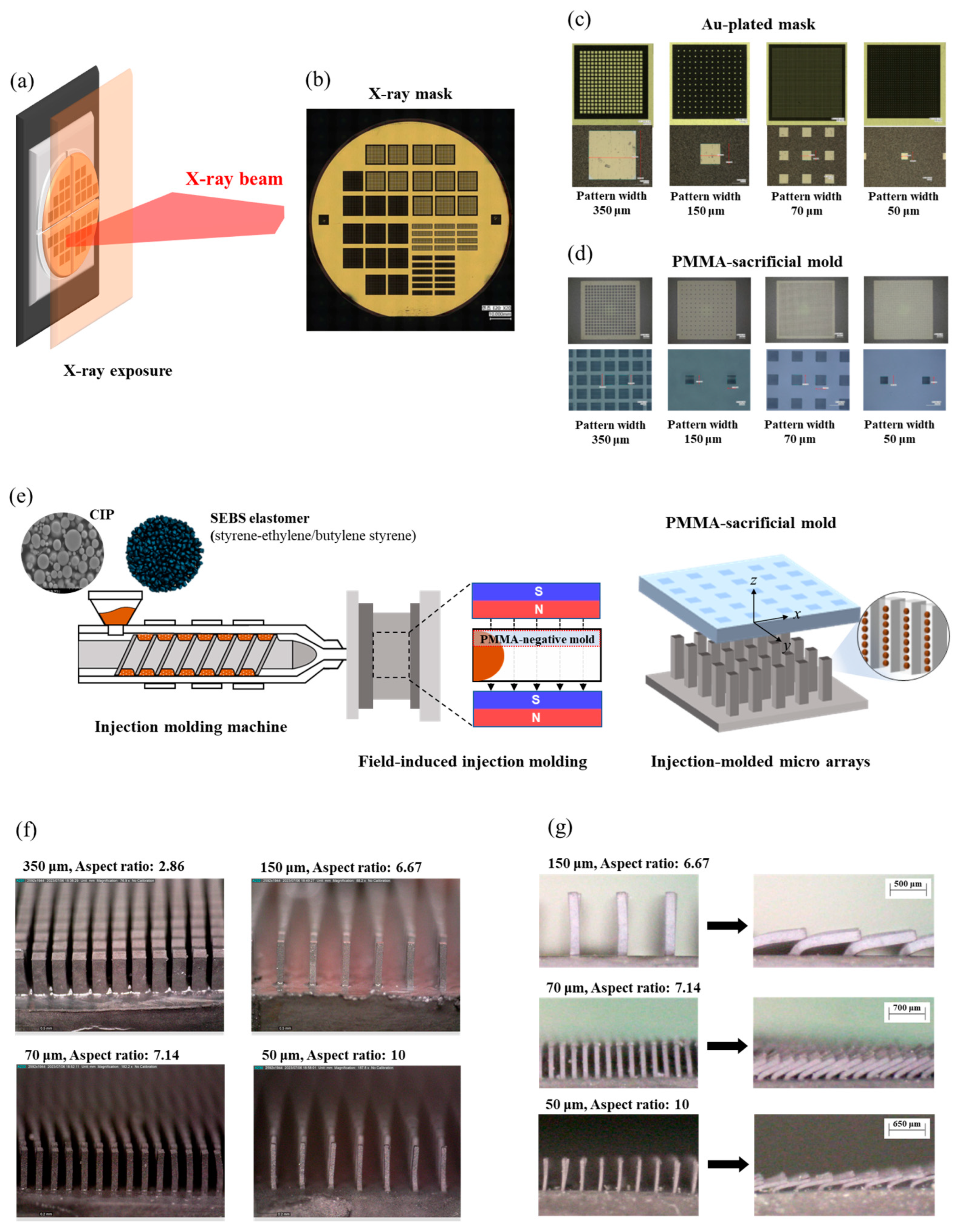 Polymers 16 03003 g001