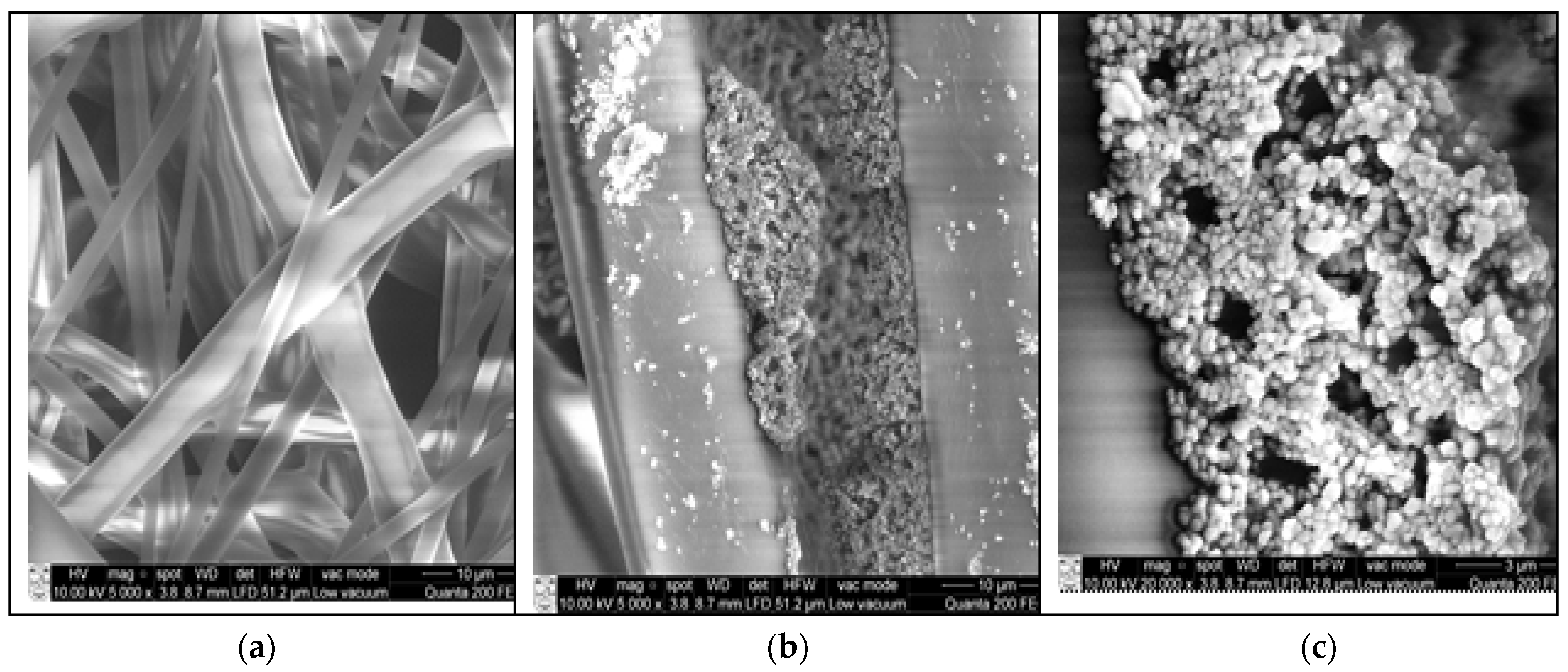 Polymers 16 03005 g008