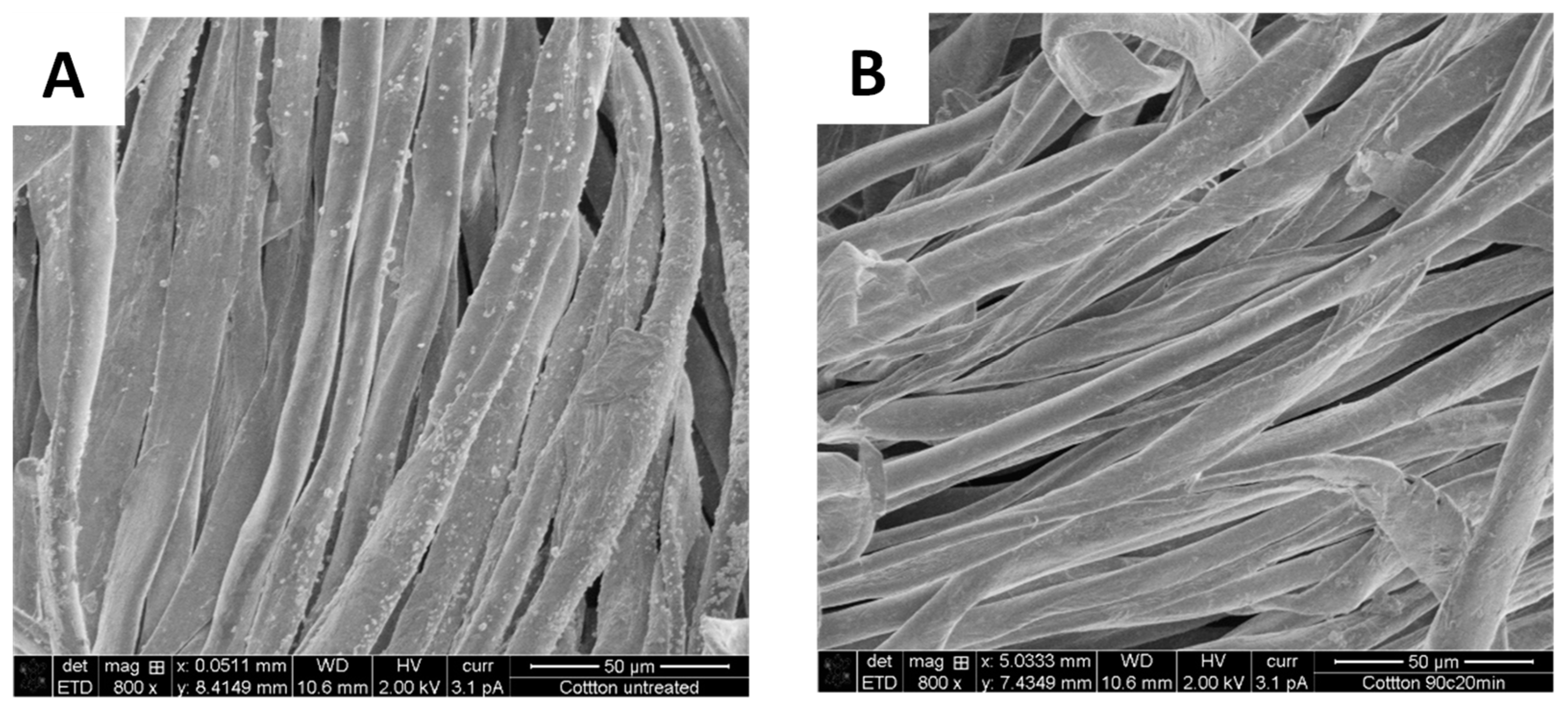 Polymers 16 03008 g008