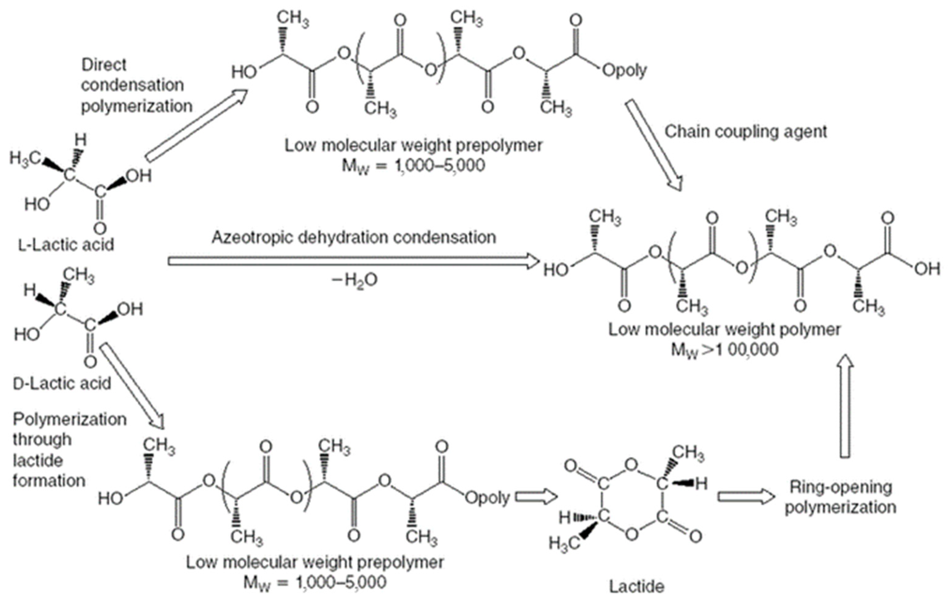 Polymers 16 03015 g006