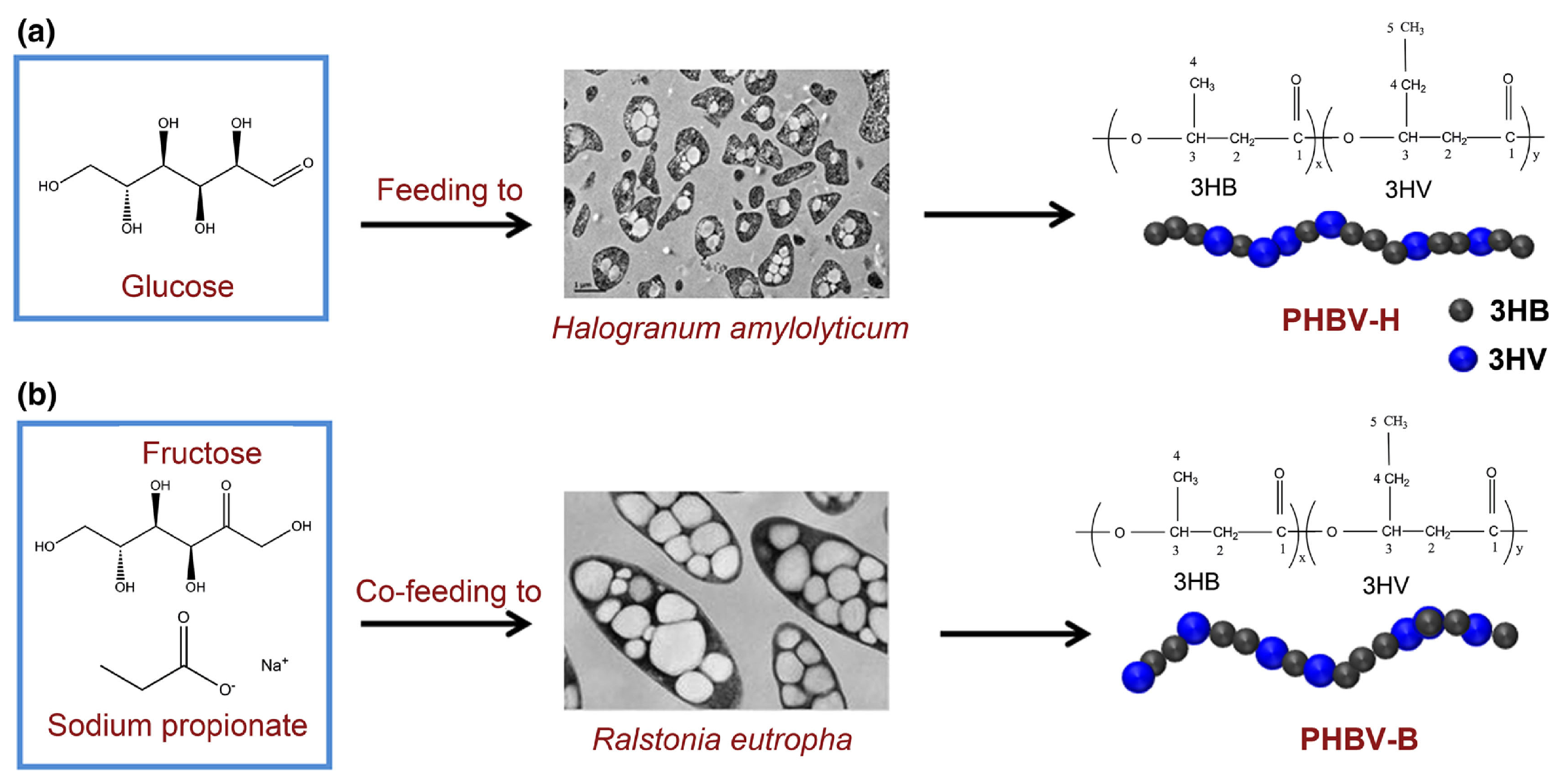 Polymers 16 03015 g013