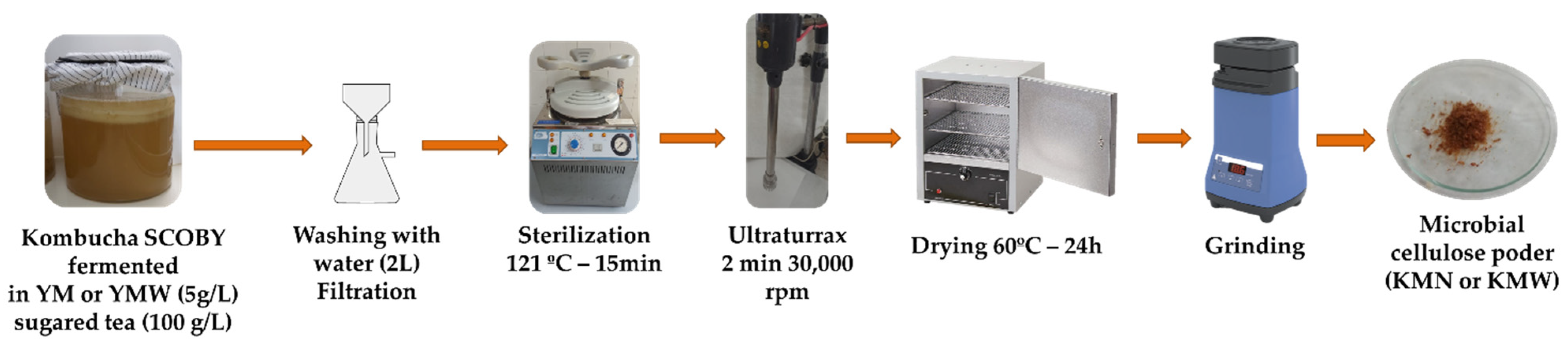Polymers 16 03015 g022