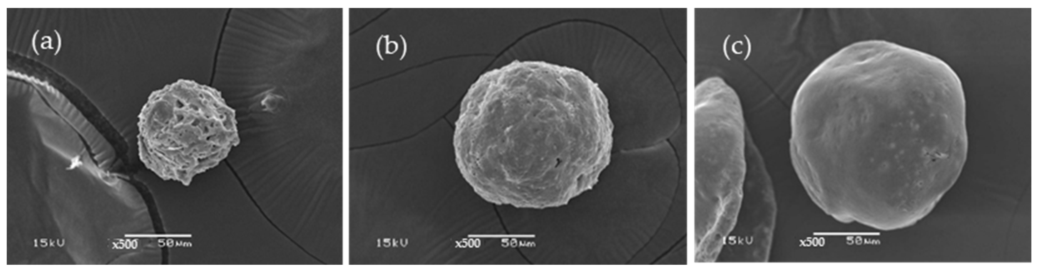 Polymers 16 03020 g003