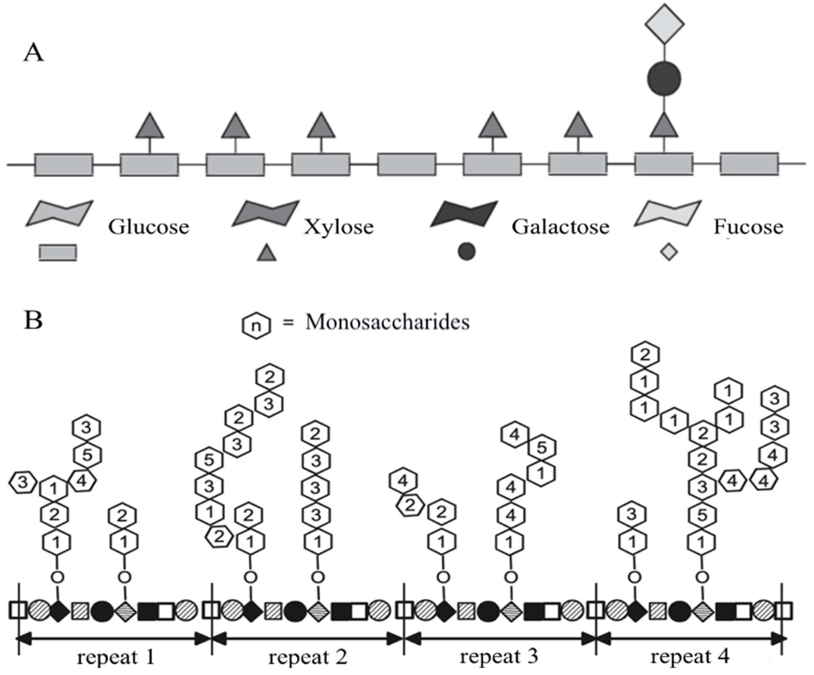 Polymers 16 03022 g002