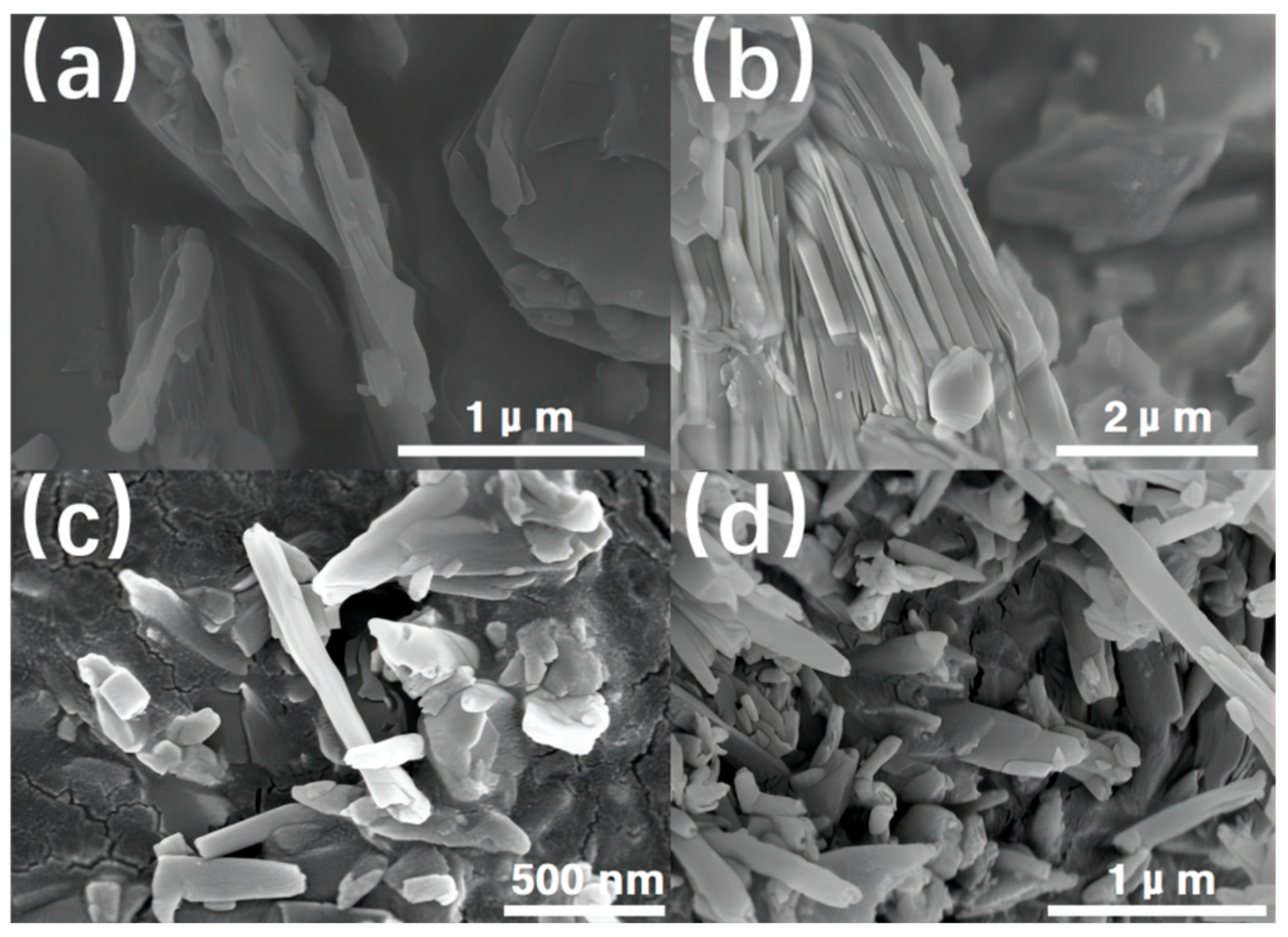 Polymers 16 03025 g006