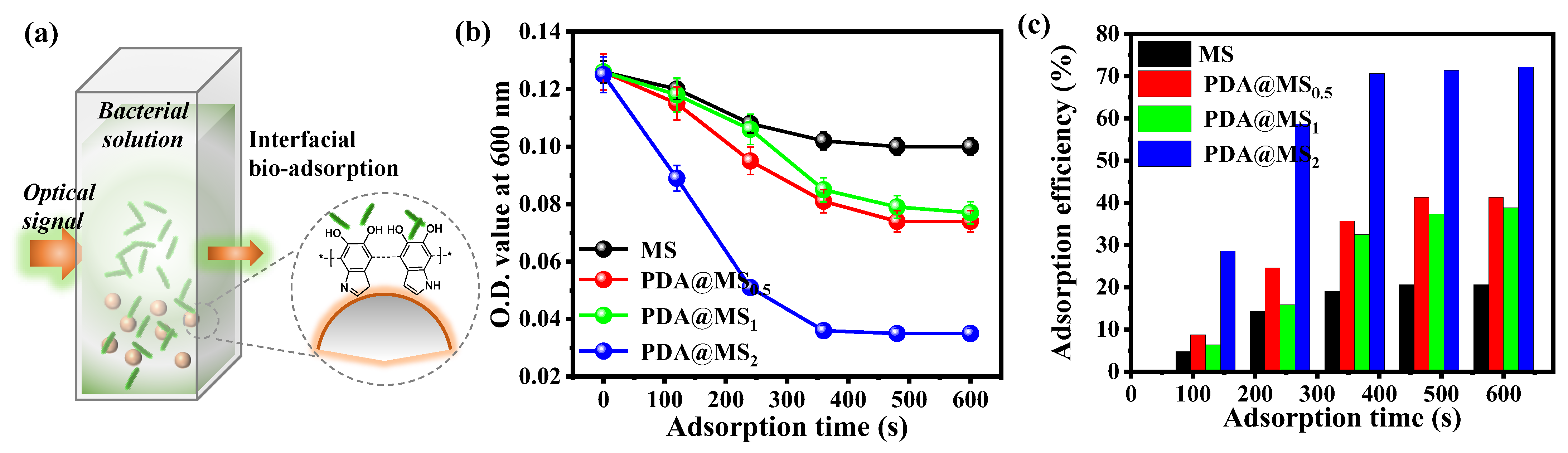 Polymers 16 03027 g006
