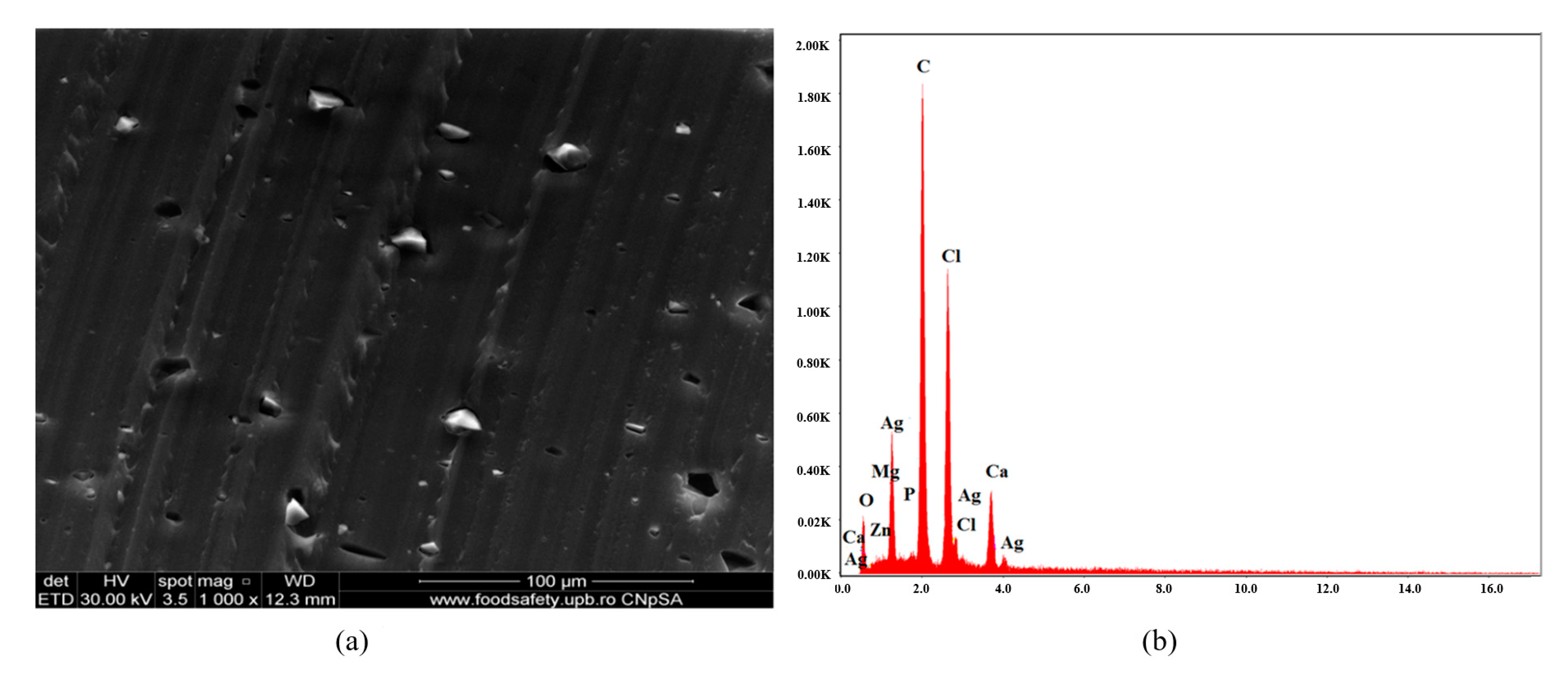 Polymers 16 03028 g007