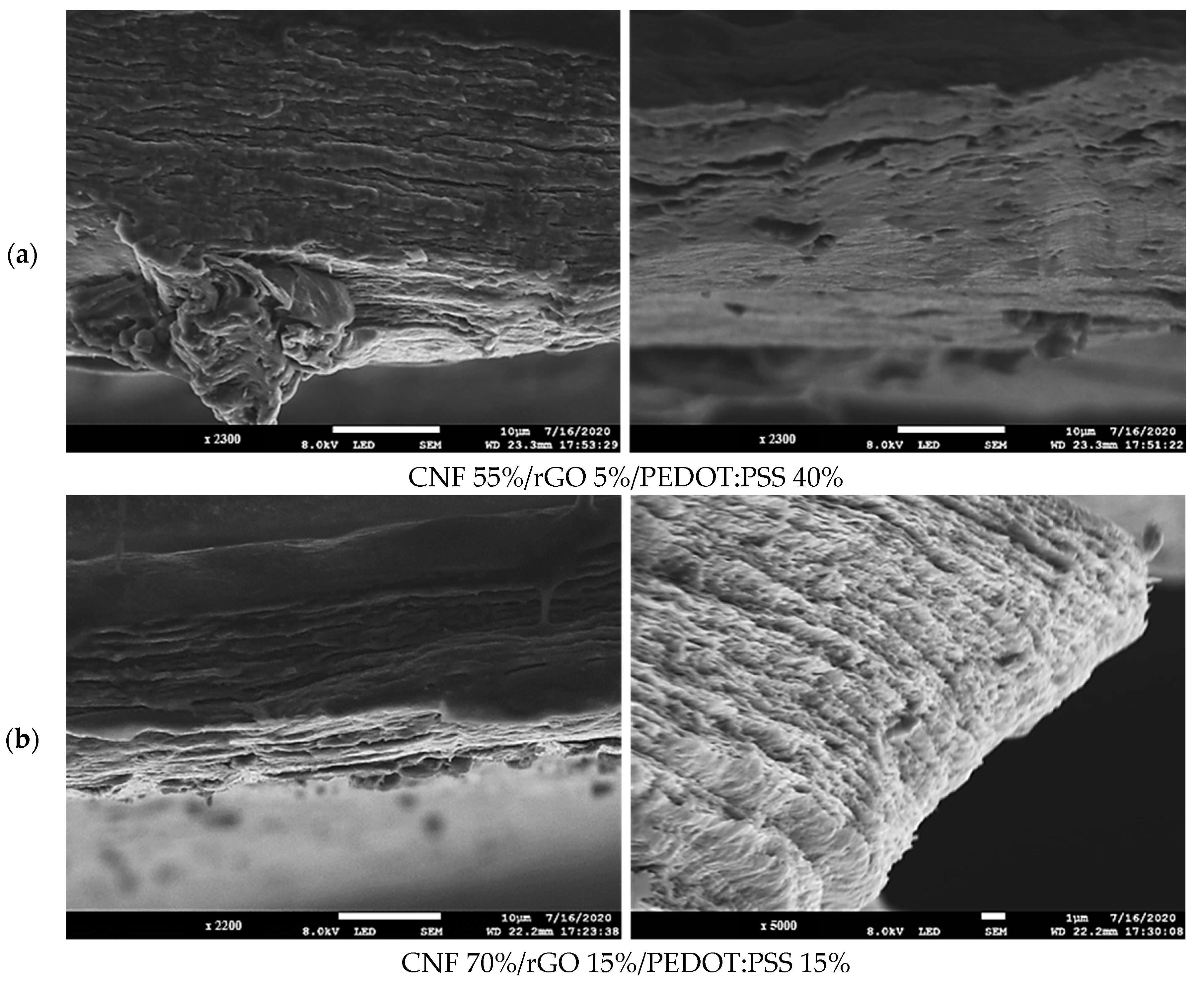 Polymers 16 03035 g007