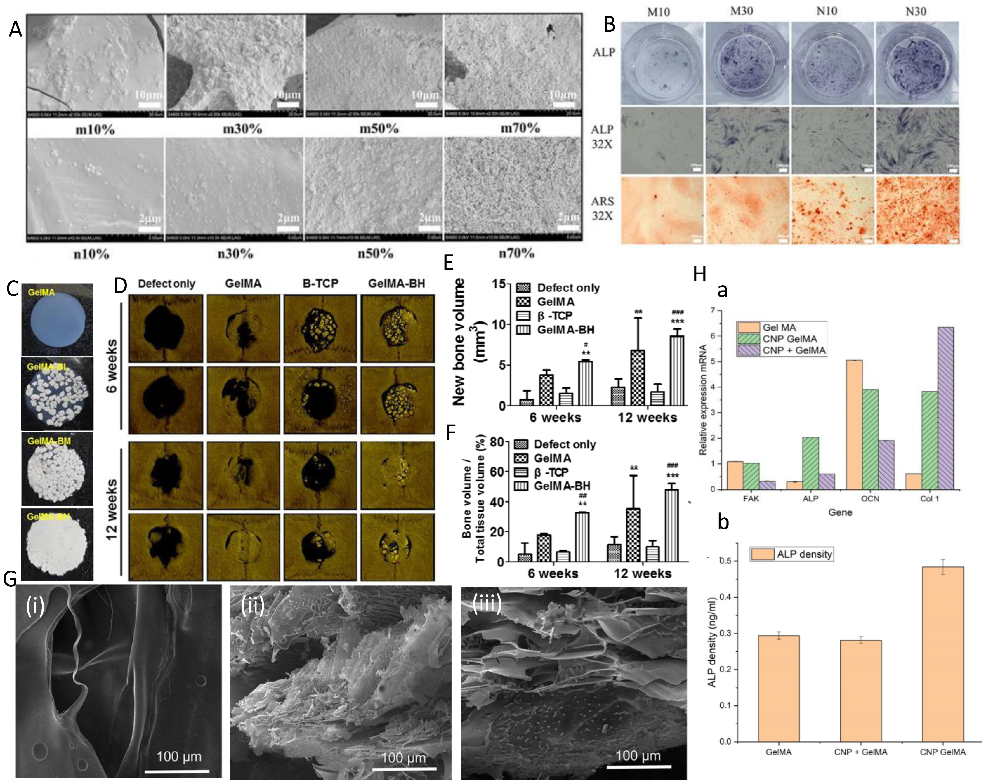 Polymers 16 03039 g004