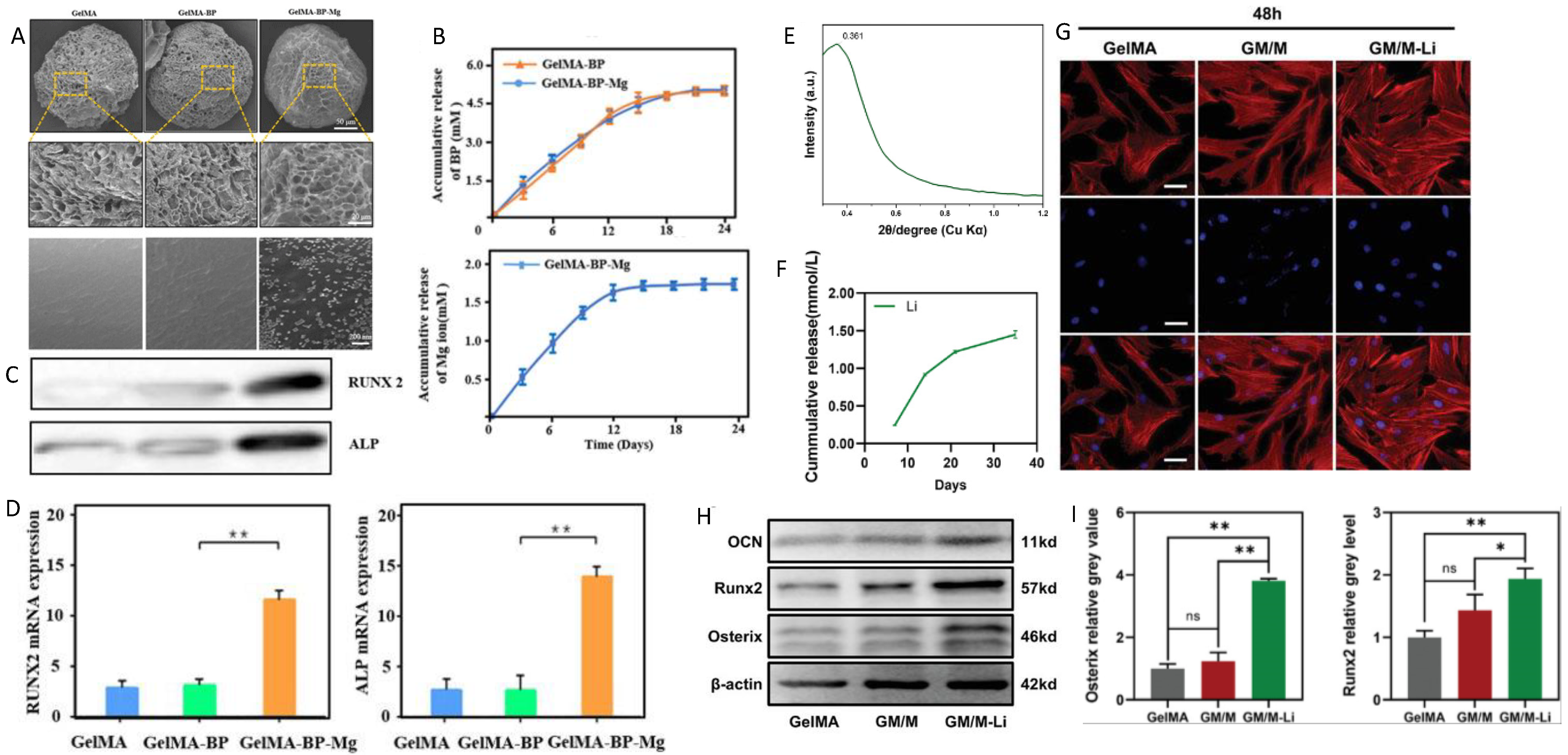 Polymers 16 03039 g005