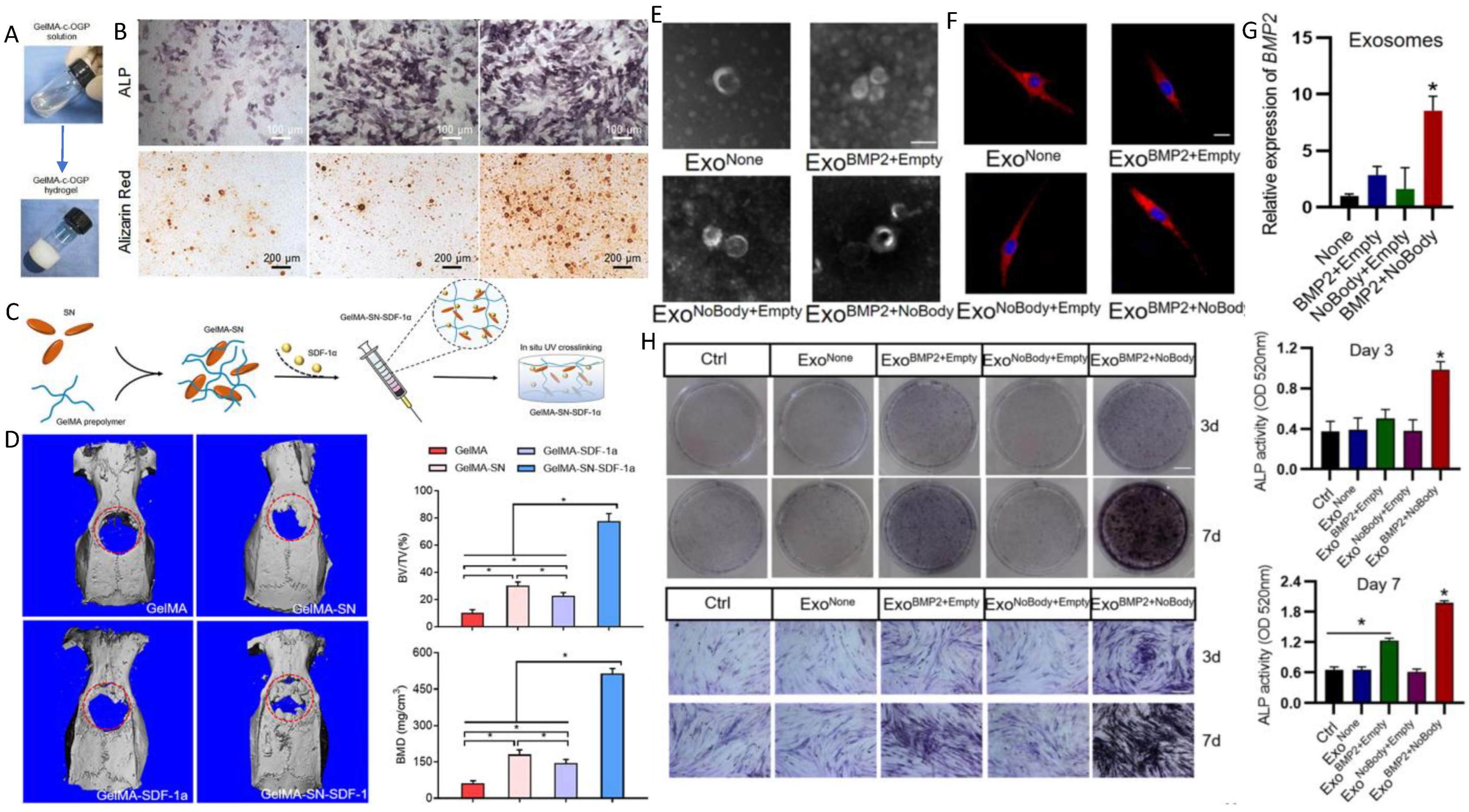 Polymers 16 03039 g006