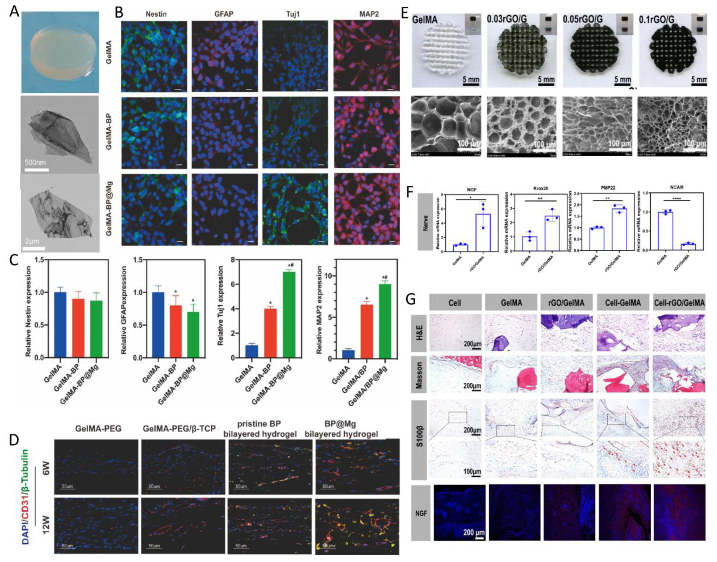 Polymers 16 03039 g007