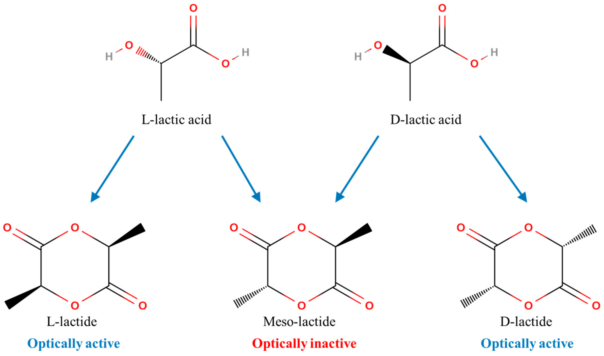 Polymers 16 03044 g005