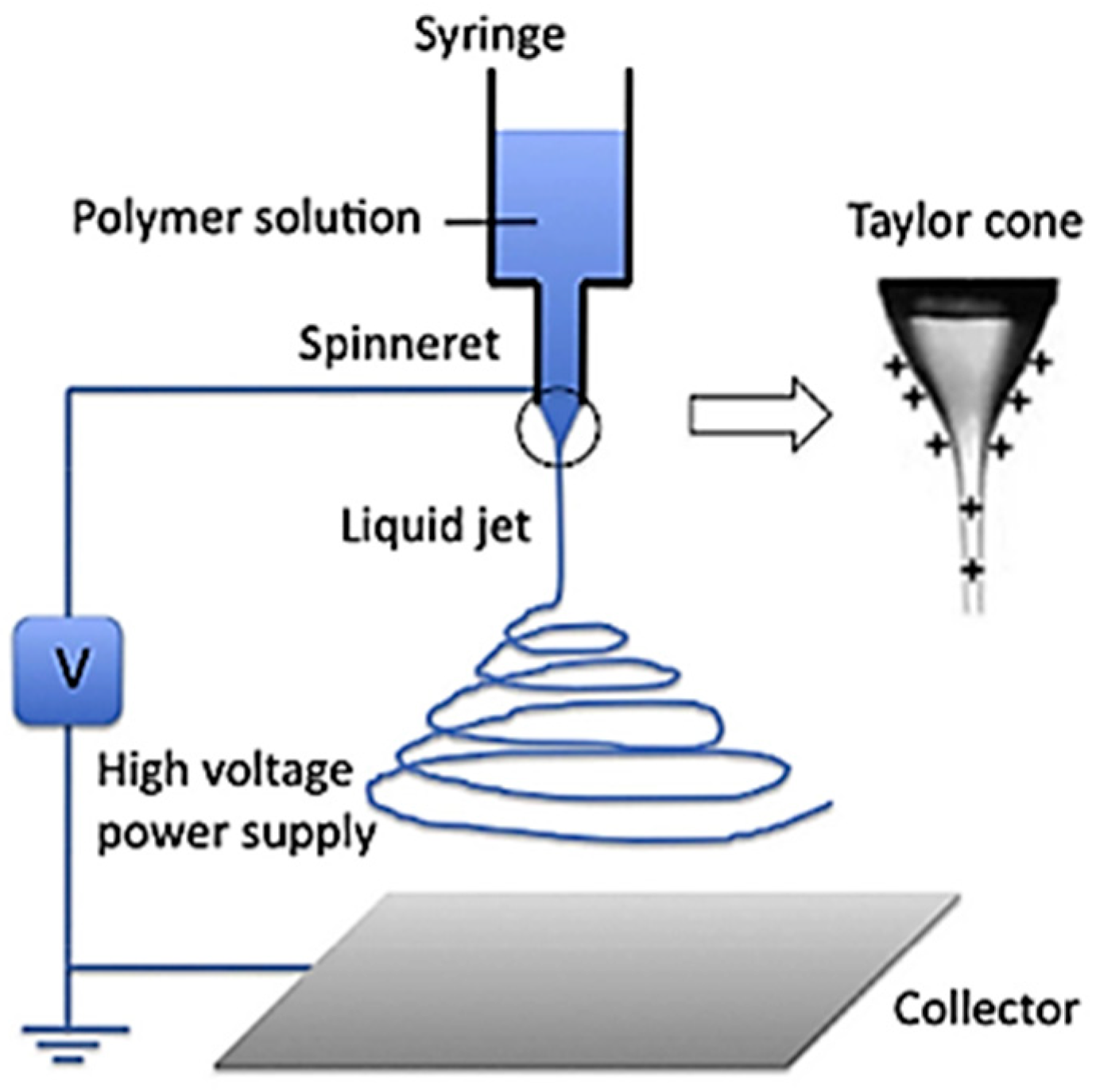 Polymers 16 03044 g011