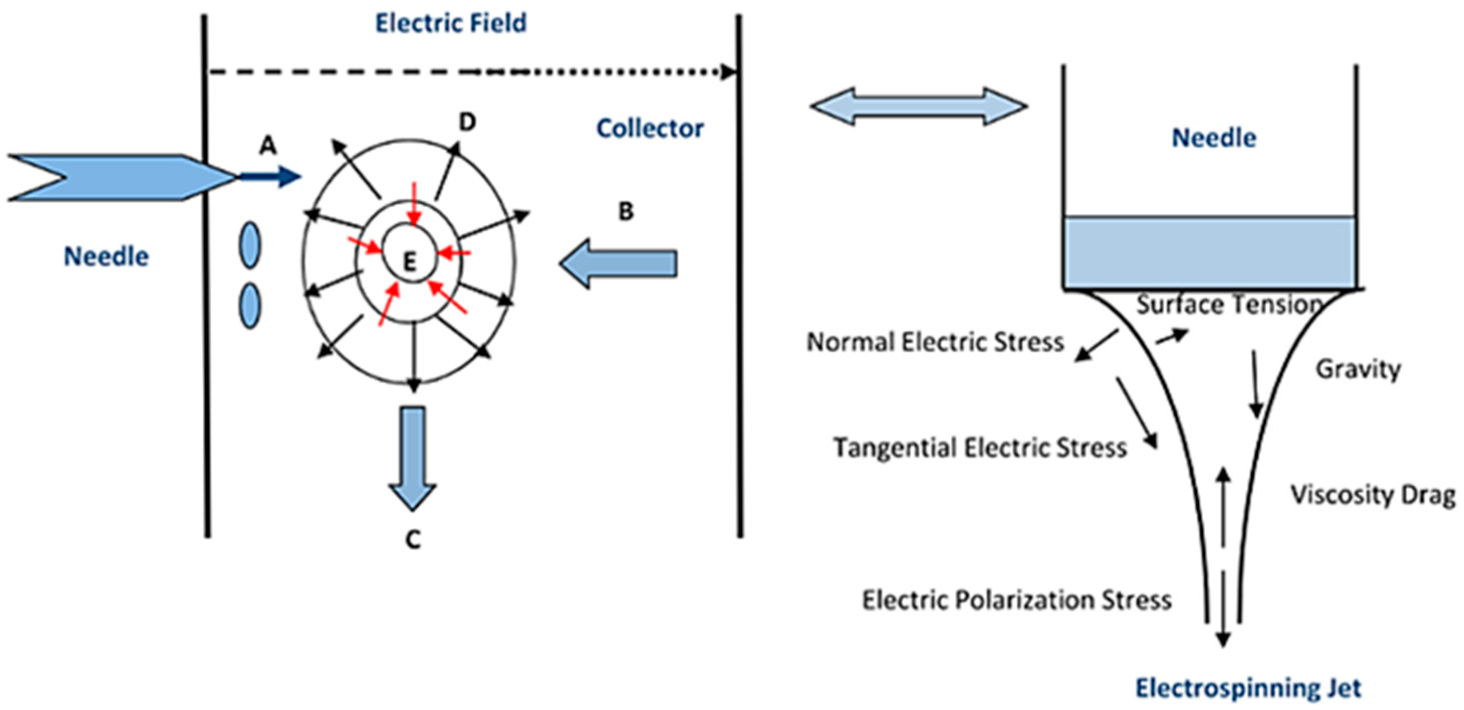 Polymers 16 03044 g012