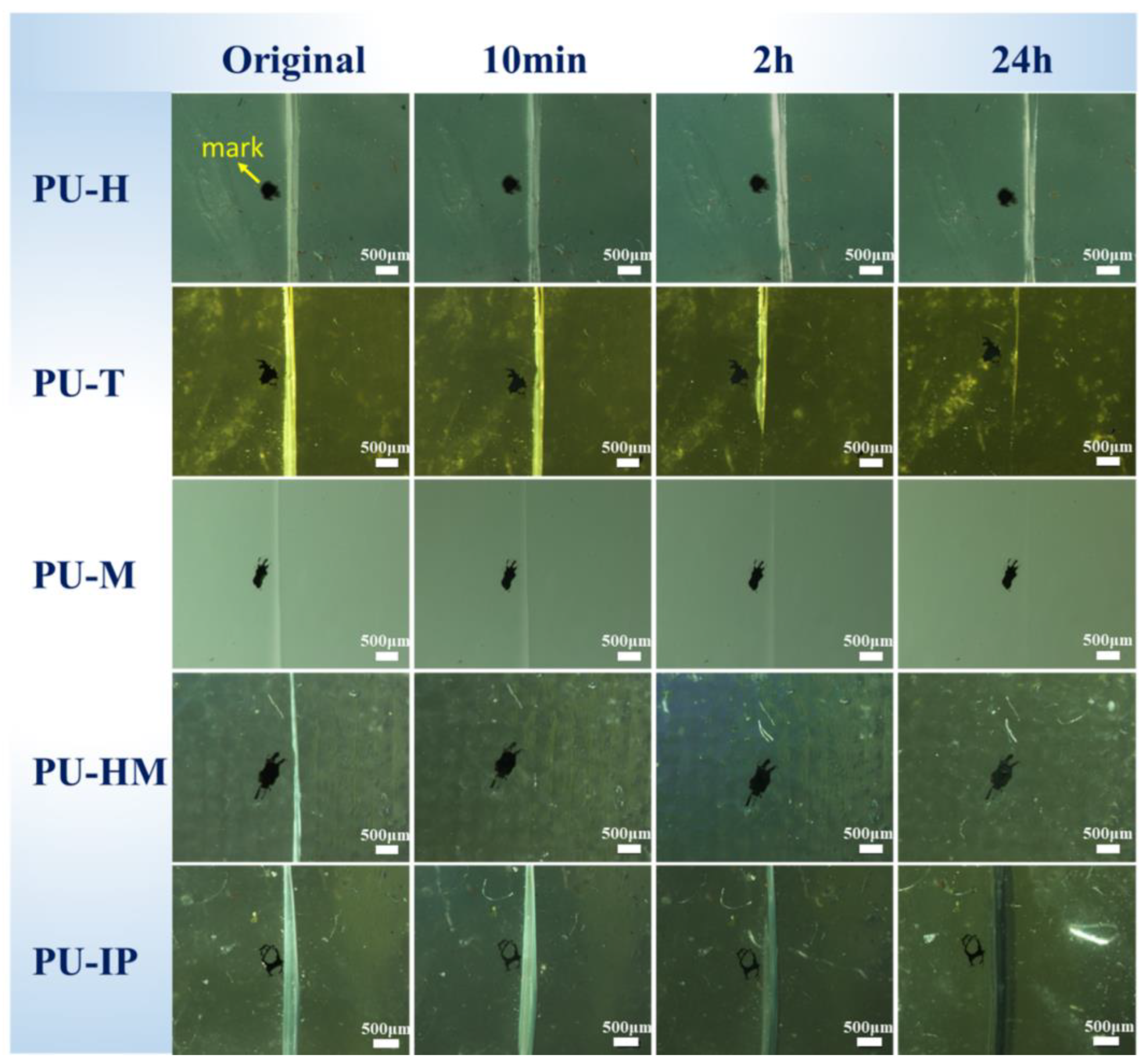 Polymers 16 03045 g006