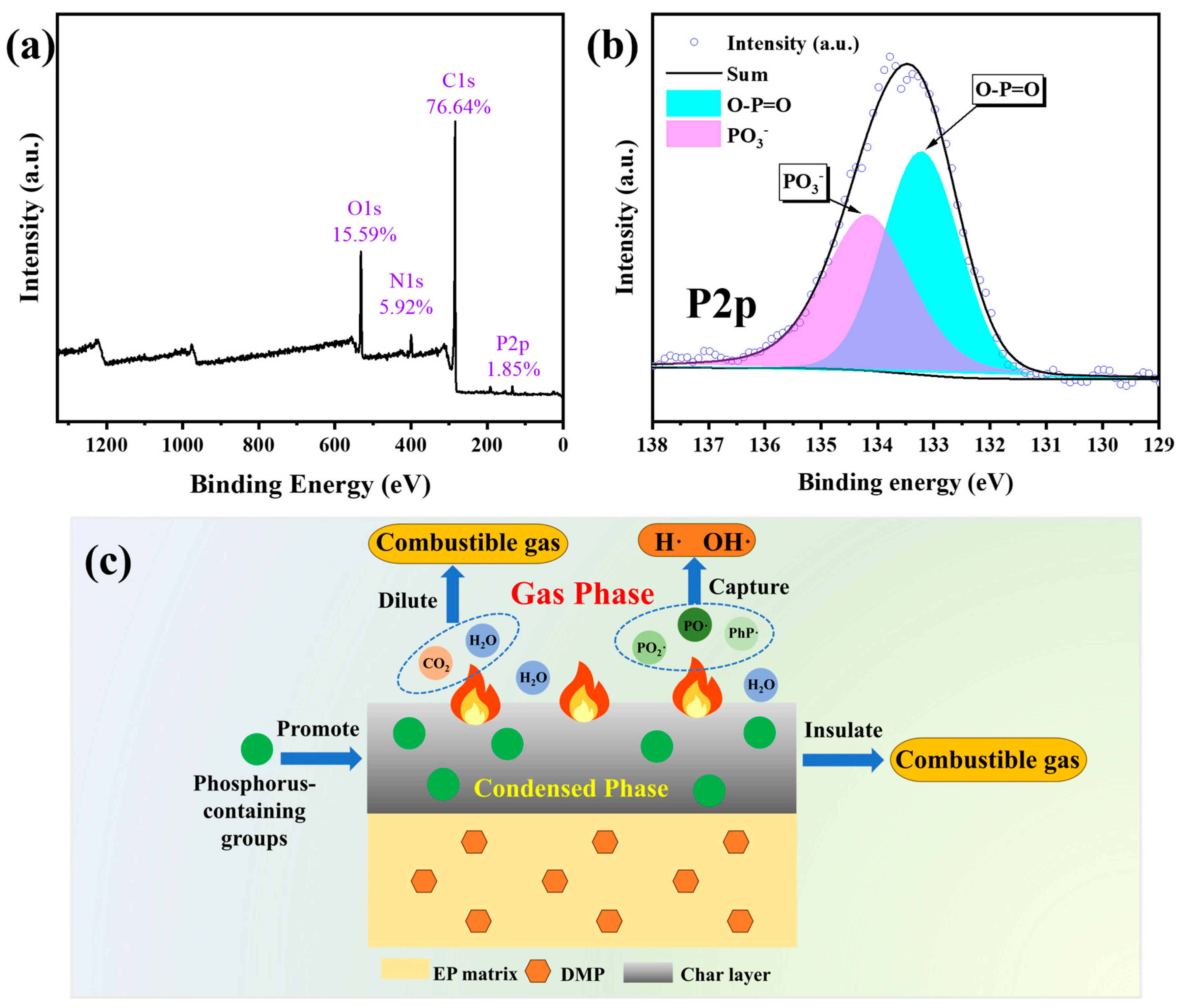 Polymers 16 03049 g006