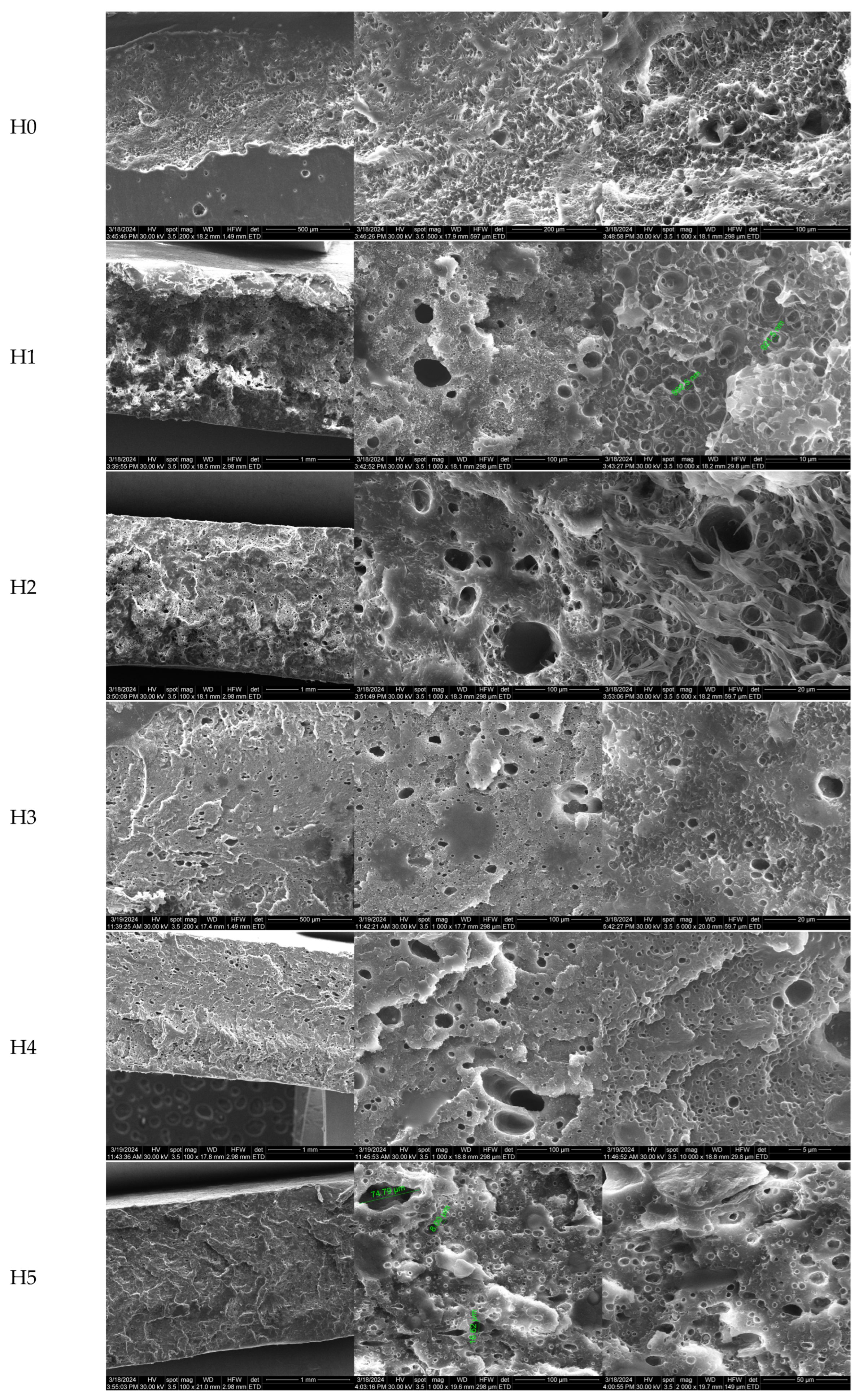 Polymers 16 03051 g001