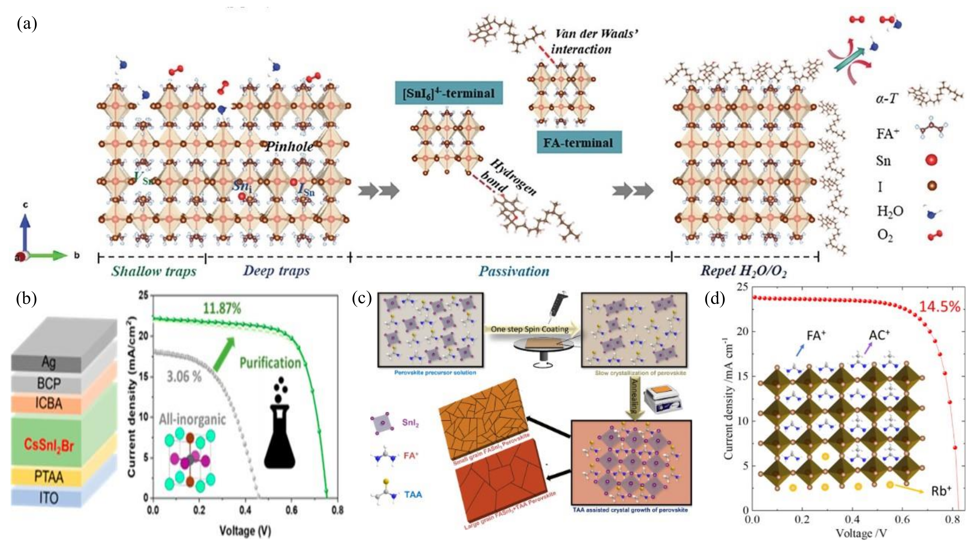 Polymers 16 03053 g002